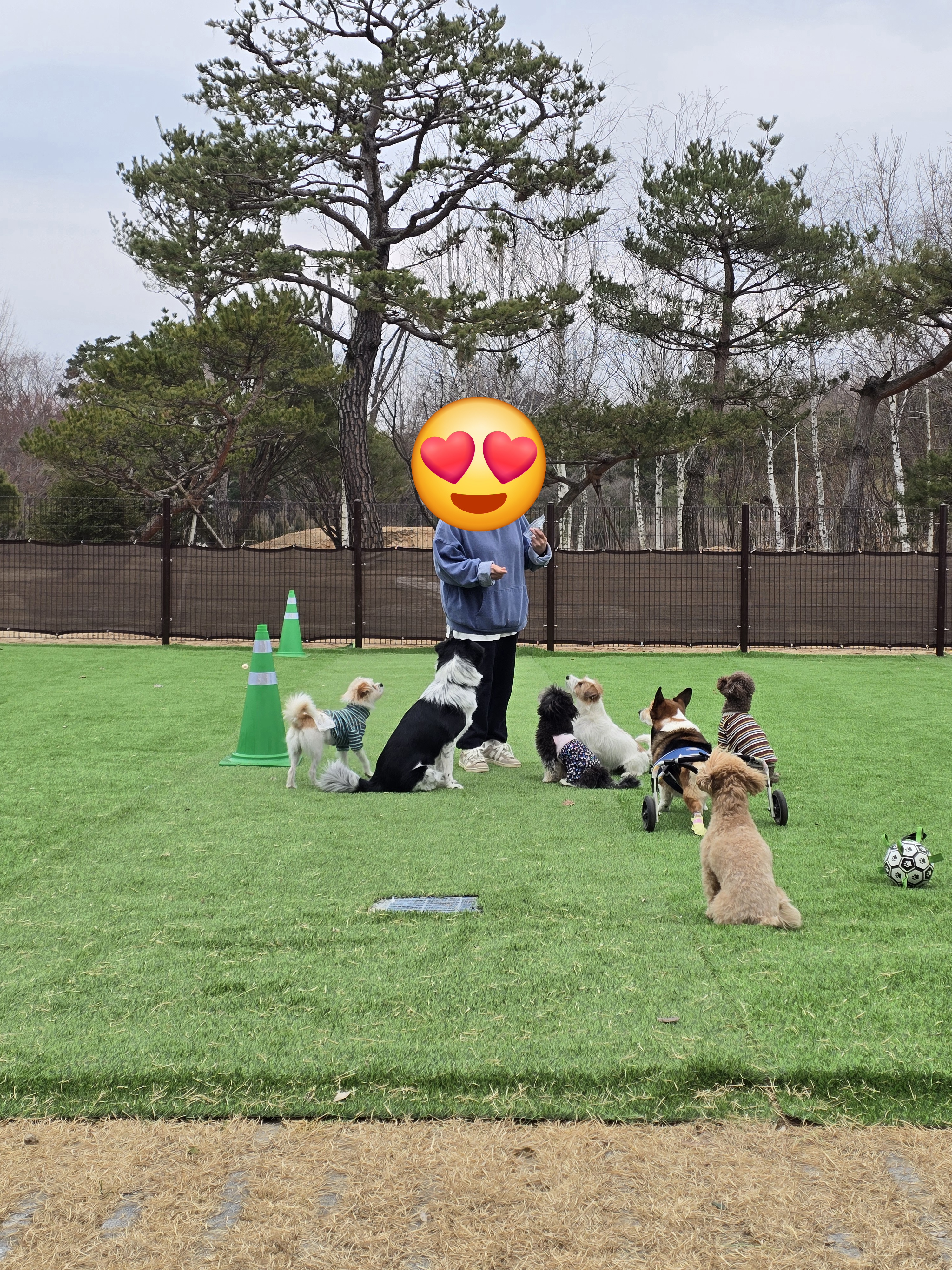 페로 대표 이미지