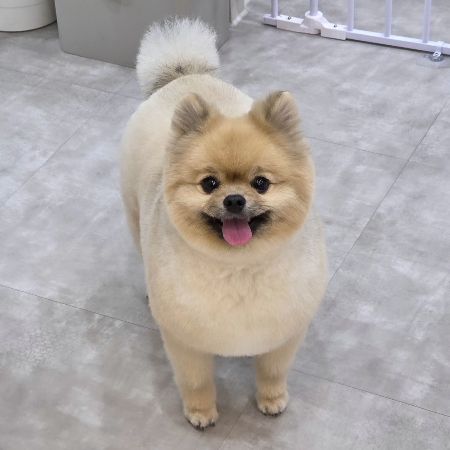 트리밍마인드 대표 이미지