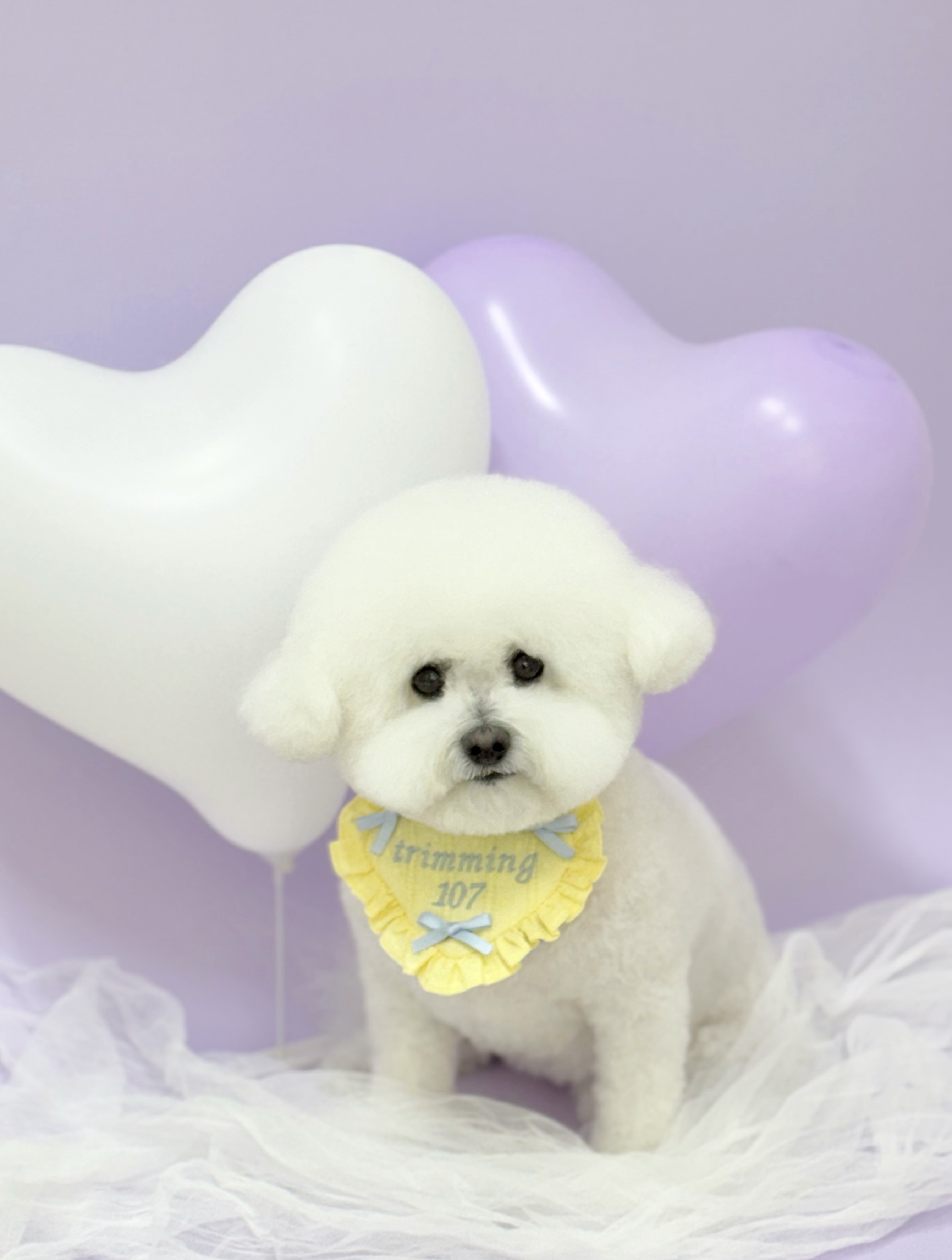 트리밍107 대표 이미지