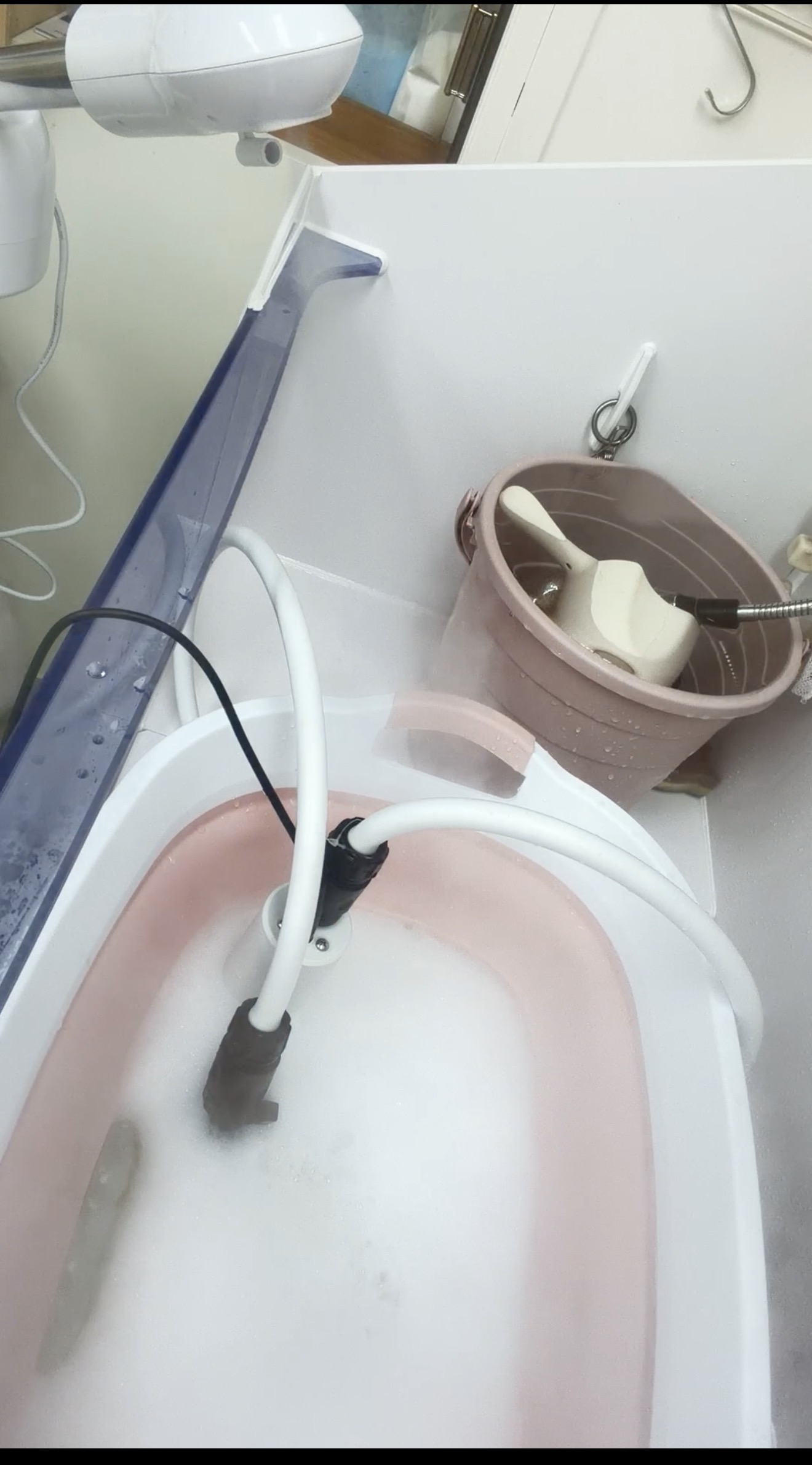 봄동살롱 대표 이미지