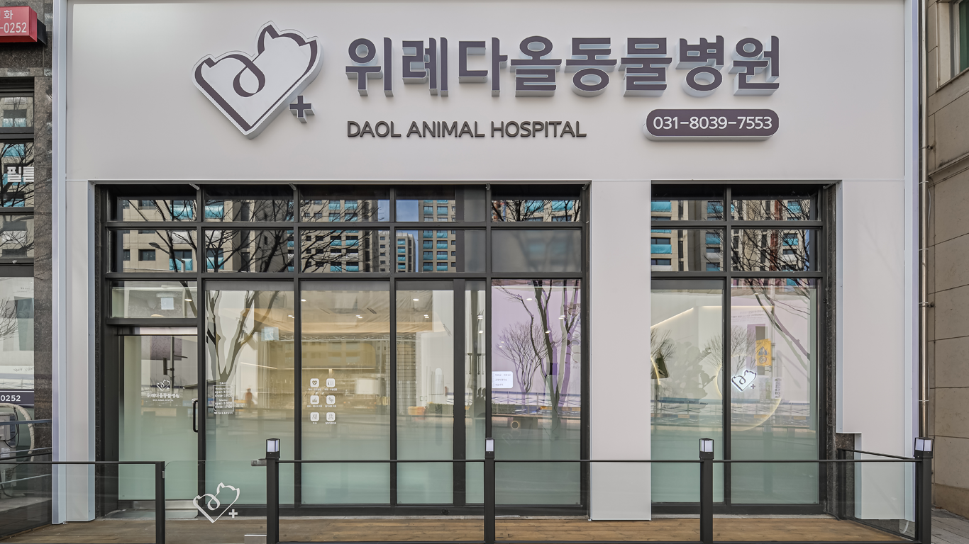 위례다올동물병원 대표 이미지