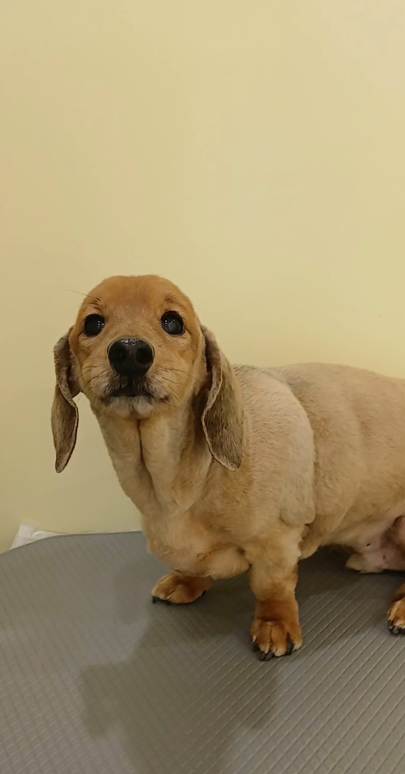 청담슈슈 대표 이미지