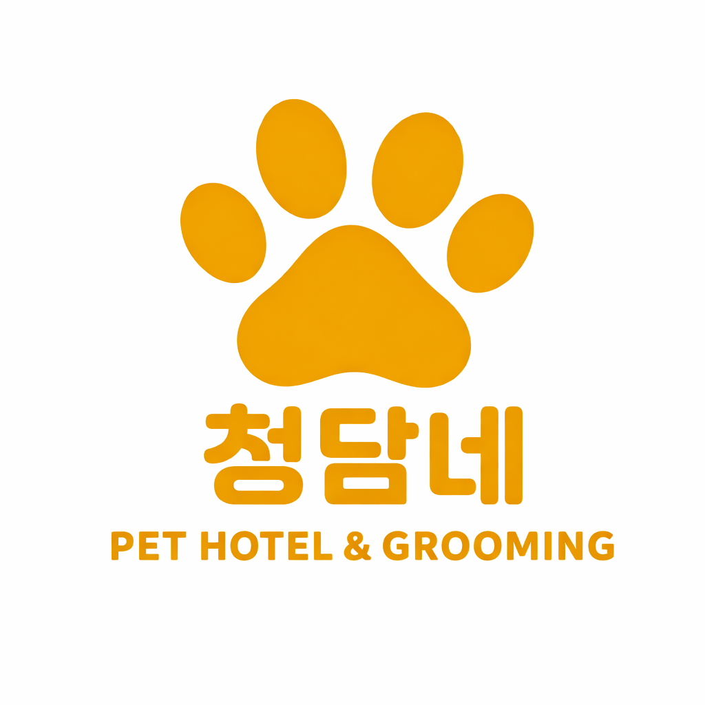 청담네 3