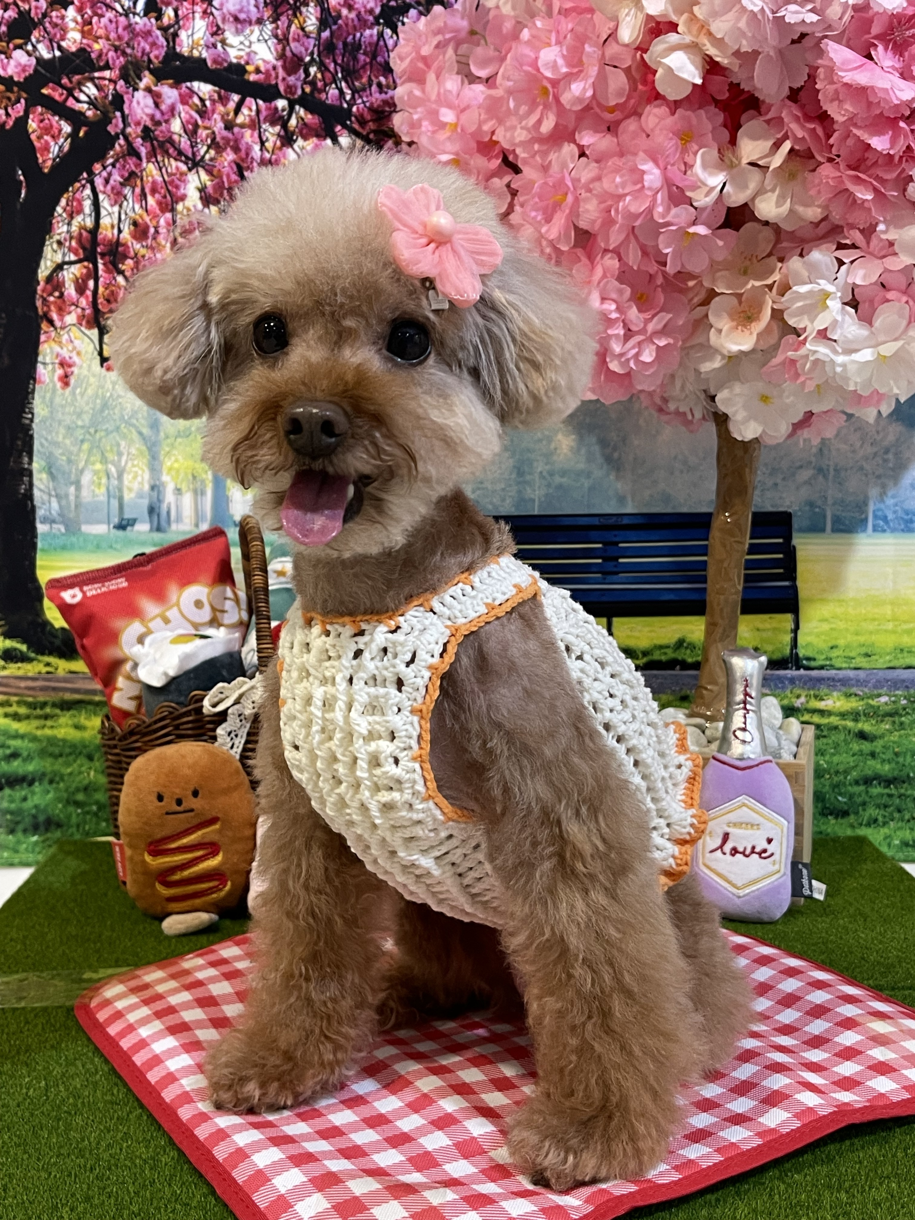 멍뭉다방 대표 이미지