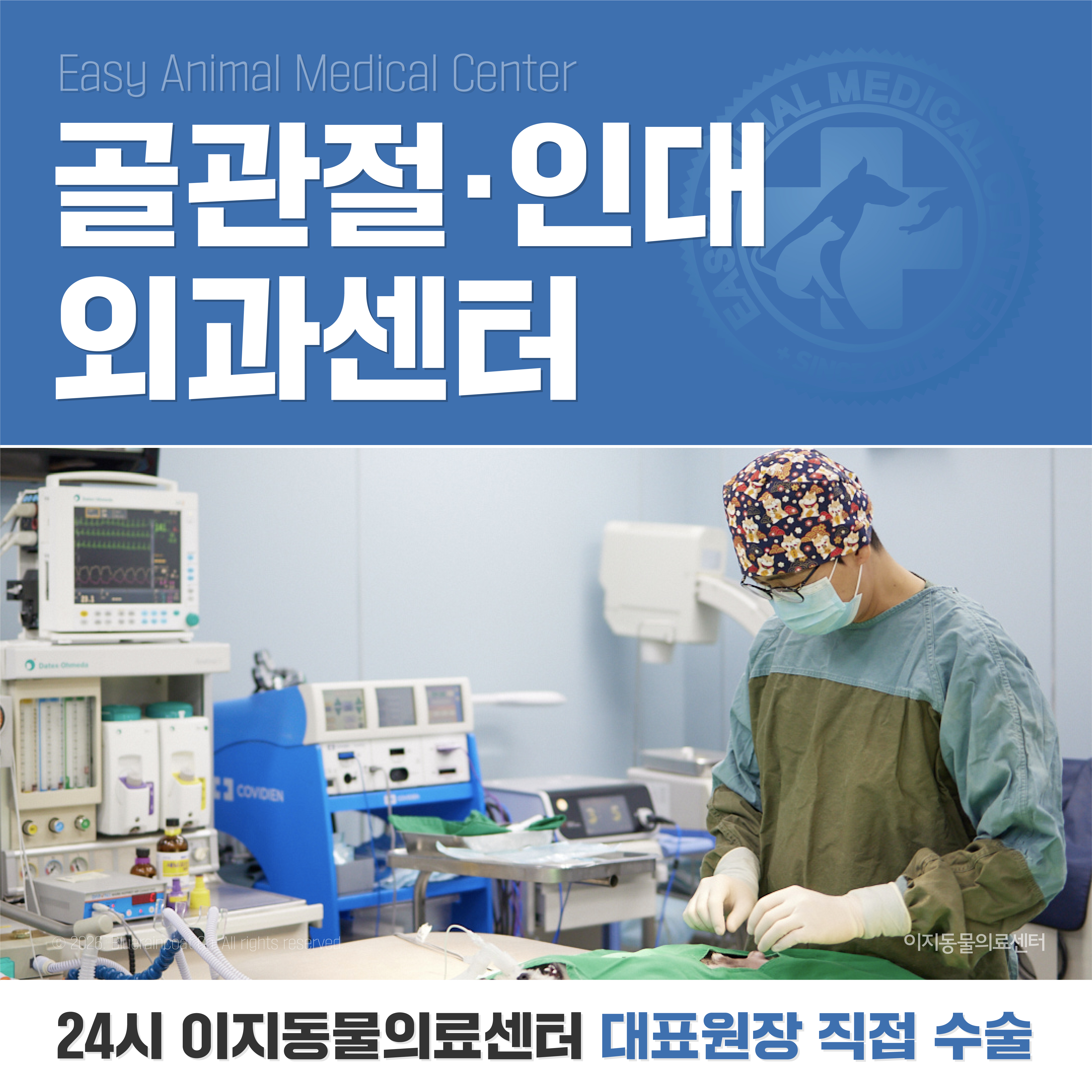 부천이지동물의료센터 대표 이미지