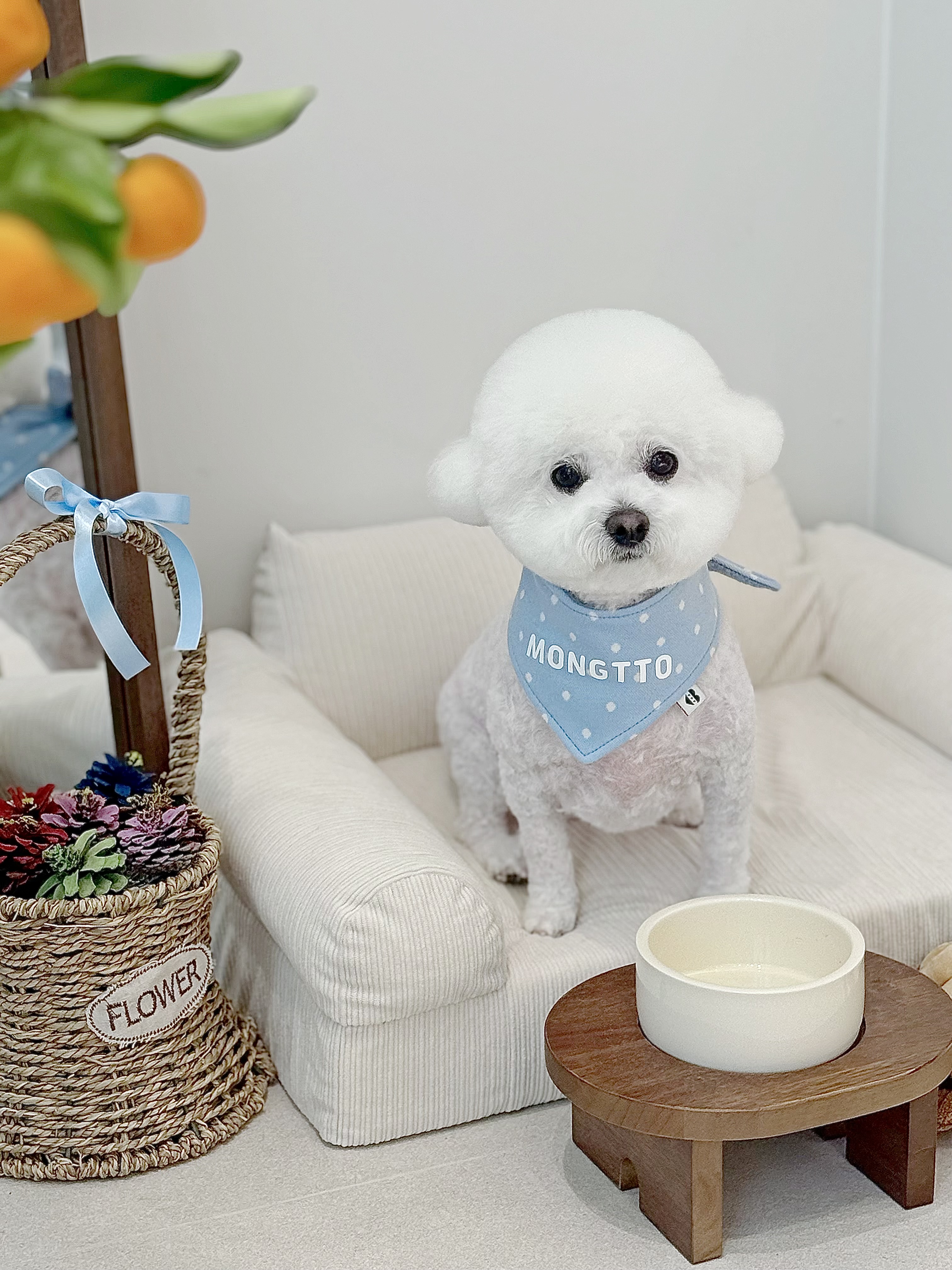 몽또 대표 이미지