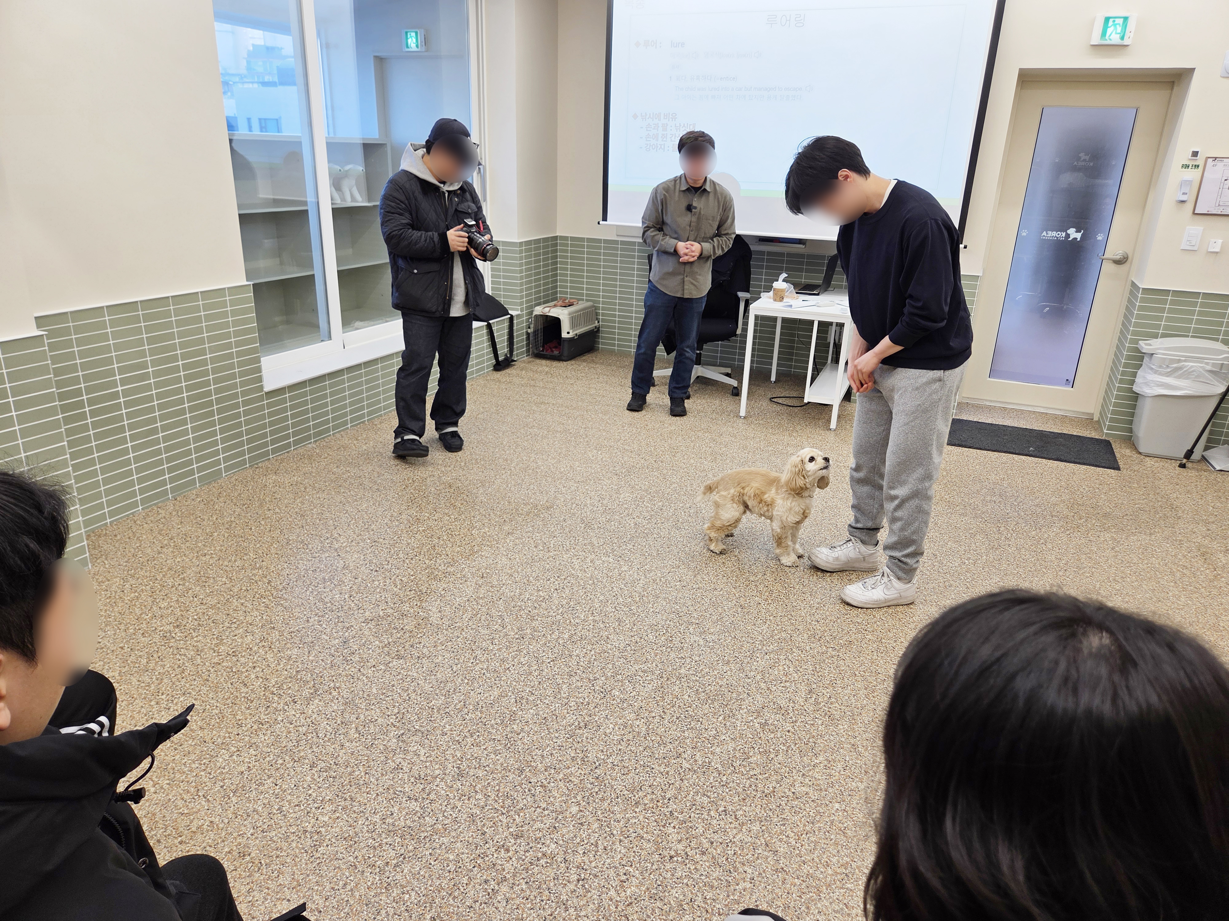 코리아펫아카데미 대표 이미지