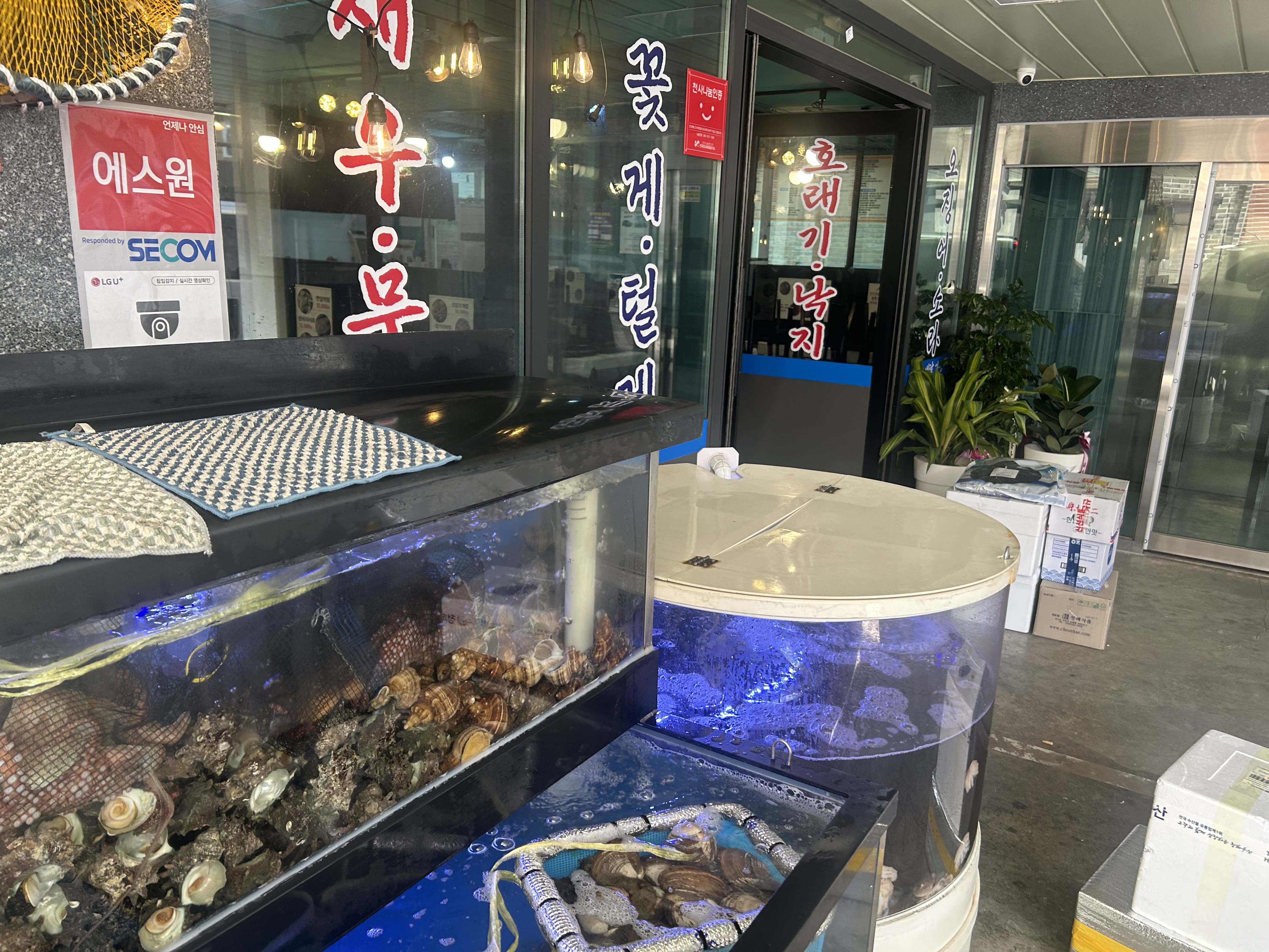 어부살꽃게 호암직영점