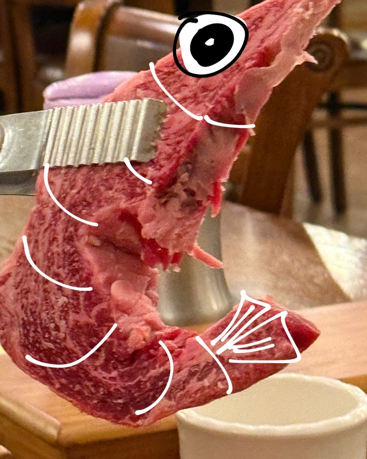 숲속한우마을 경기 애견맛집