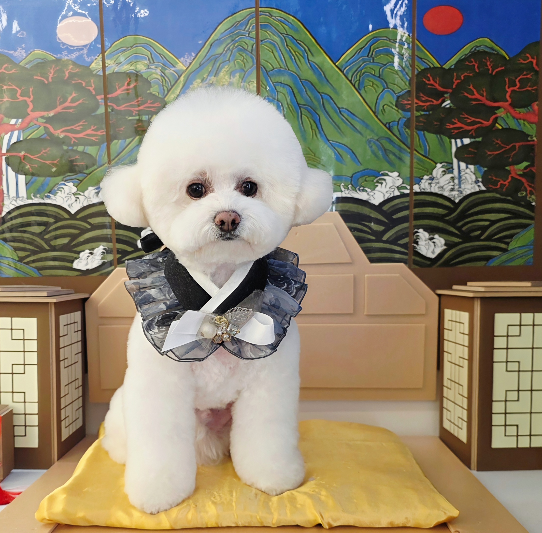 르시앙 수성하이츠점 대표 이미지