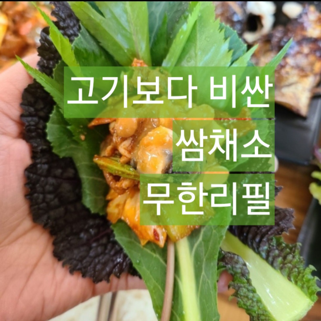 출렁다리쌈밥 마장호수본점 경기 애견맛집