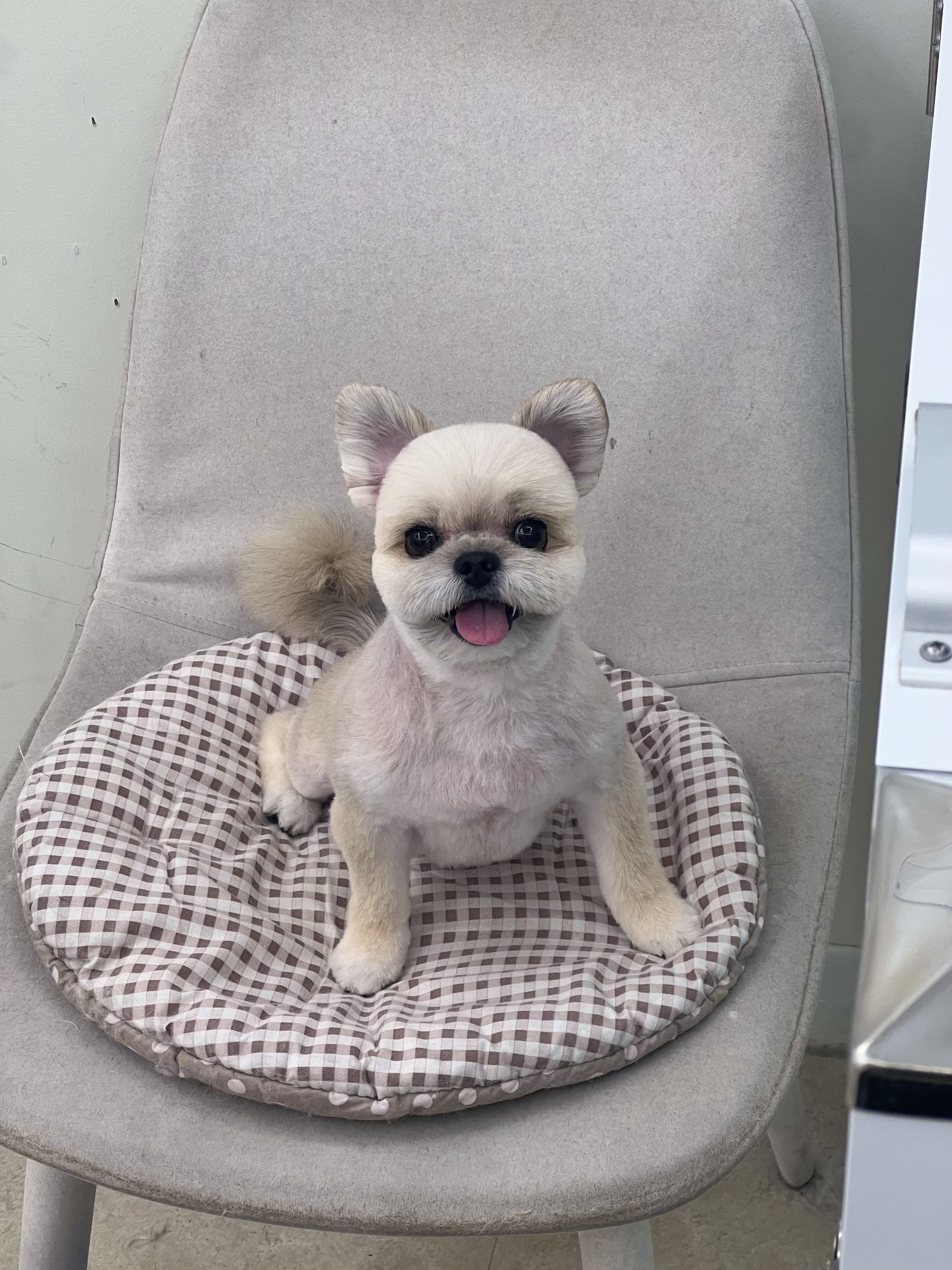 토토리 대표 이미지