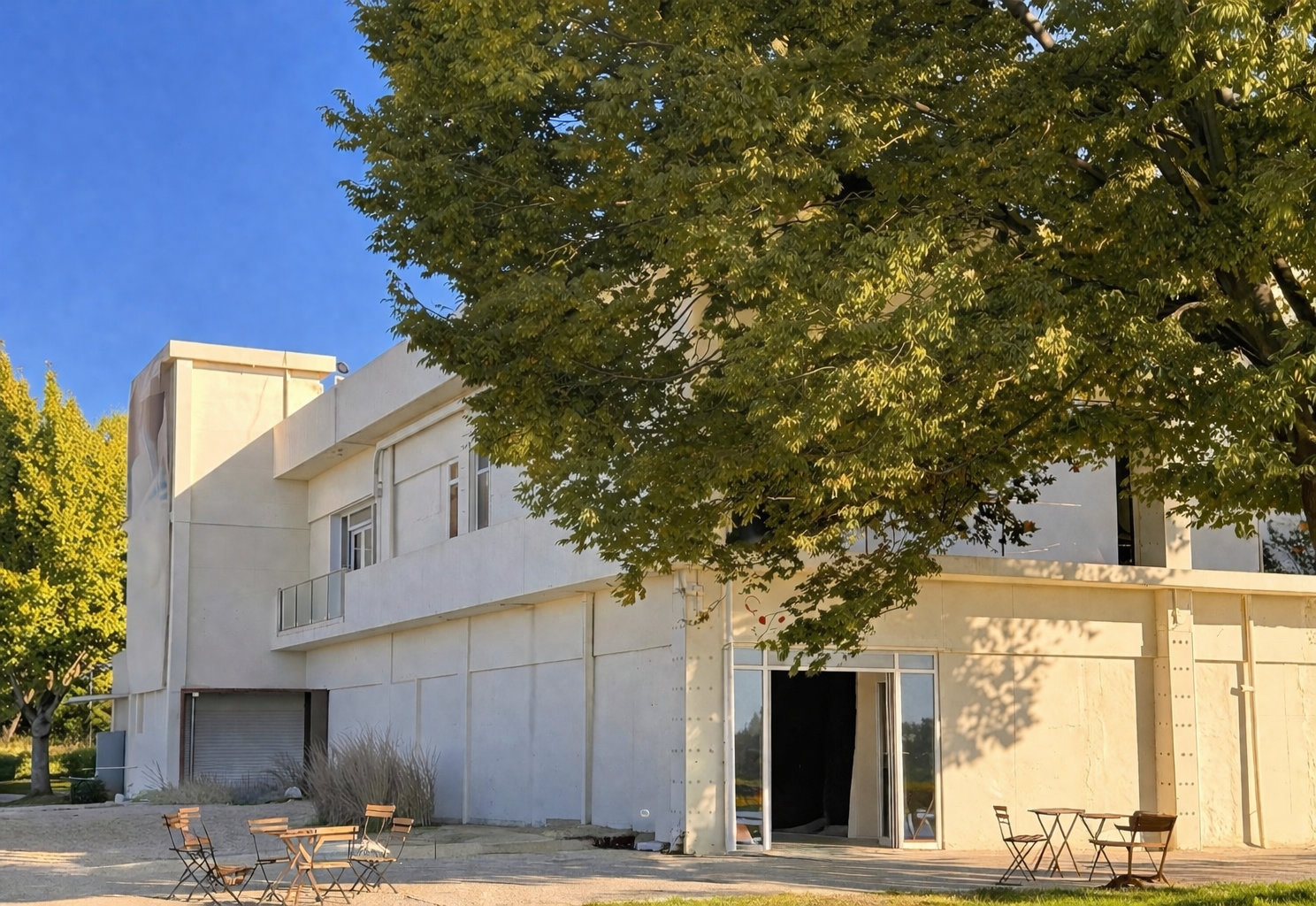 로이네커피로스터즈