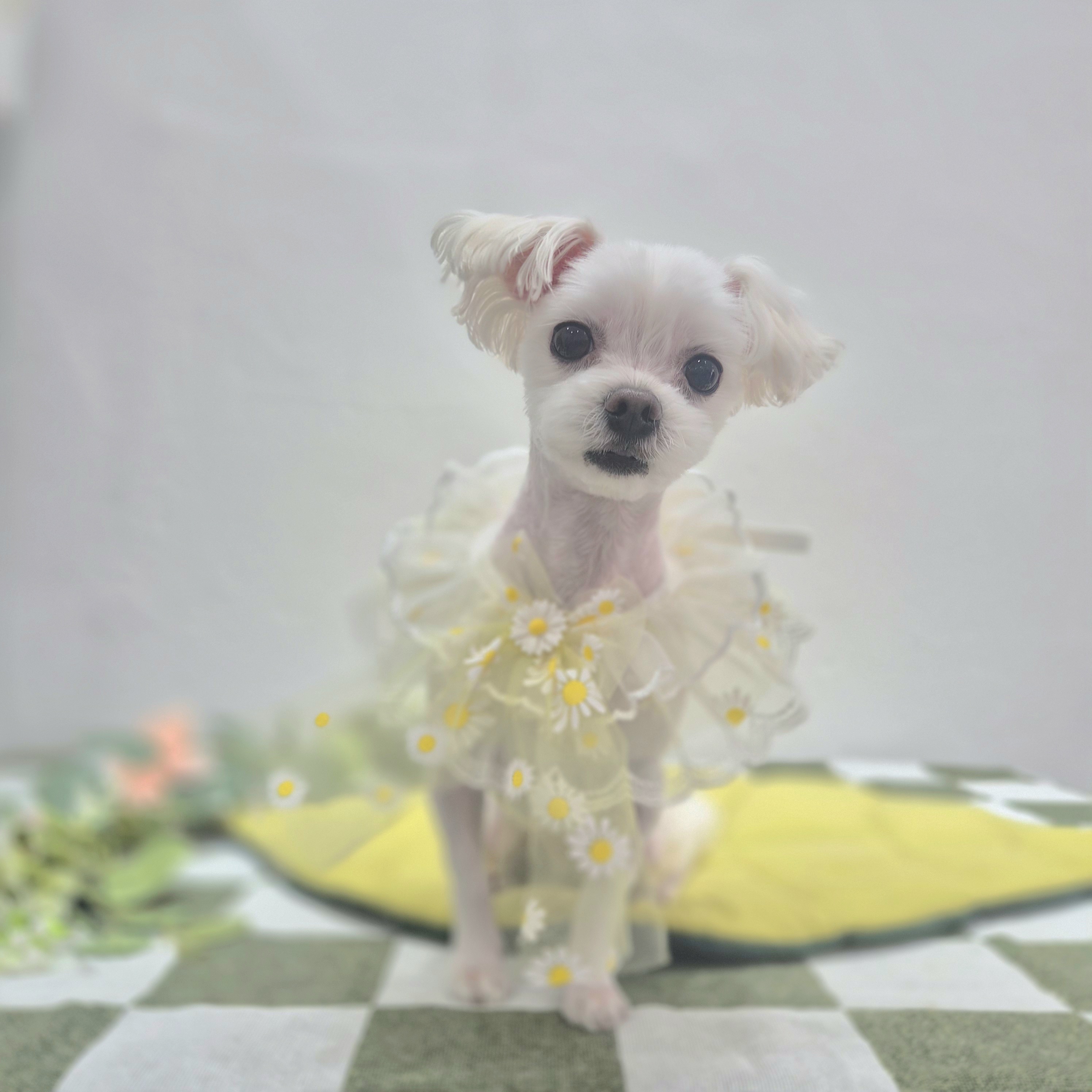 또비네 목욕탕 대표 이미지