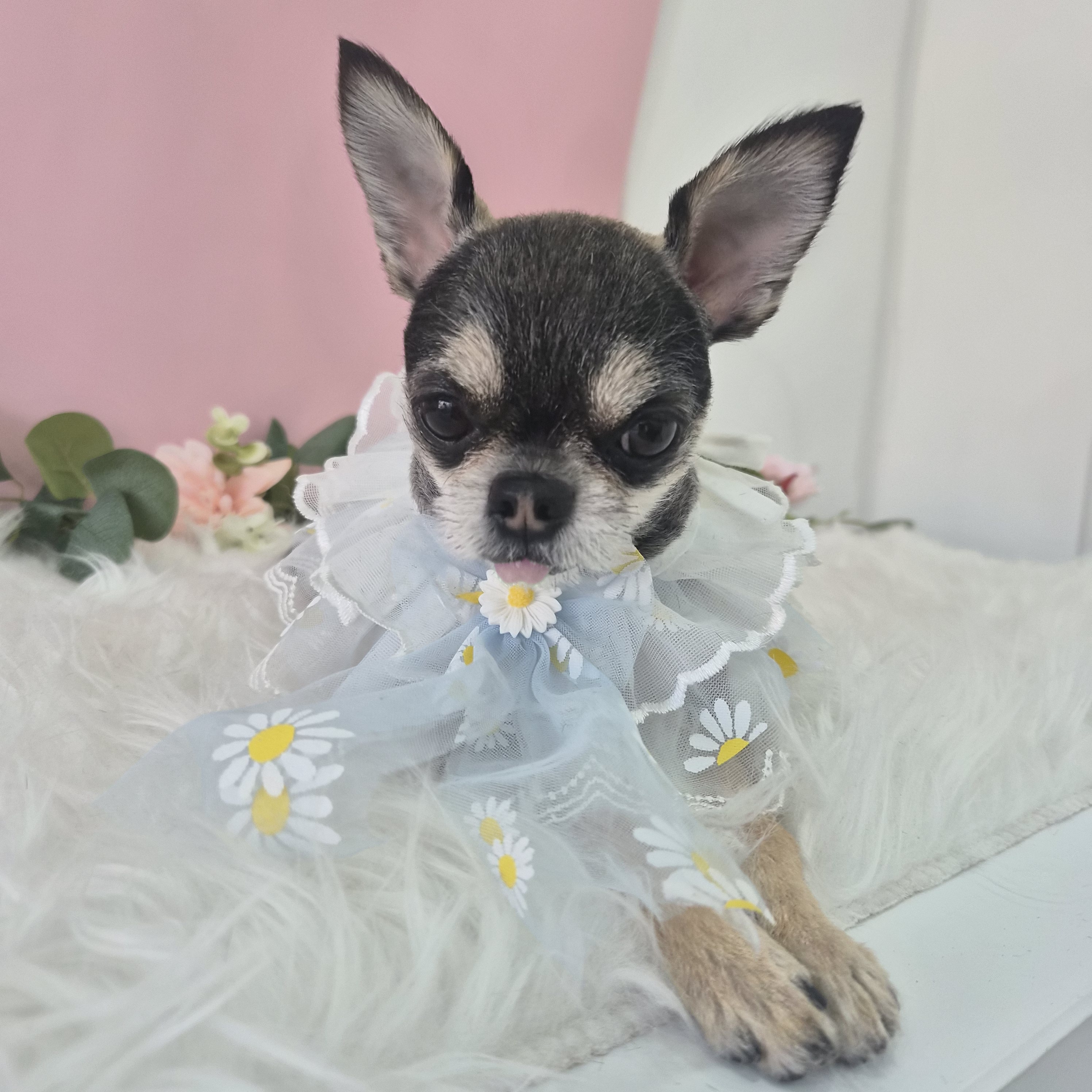 또비네 목욕탕 대표 이미지