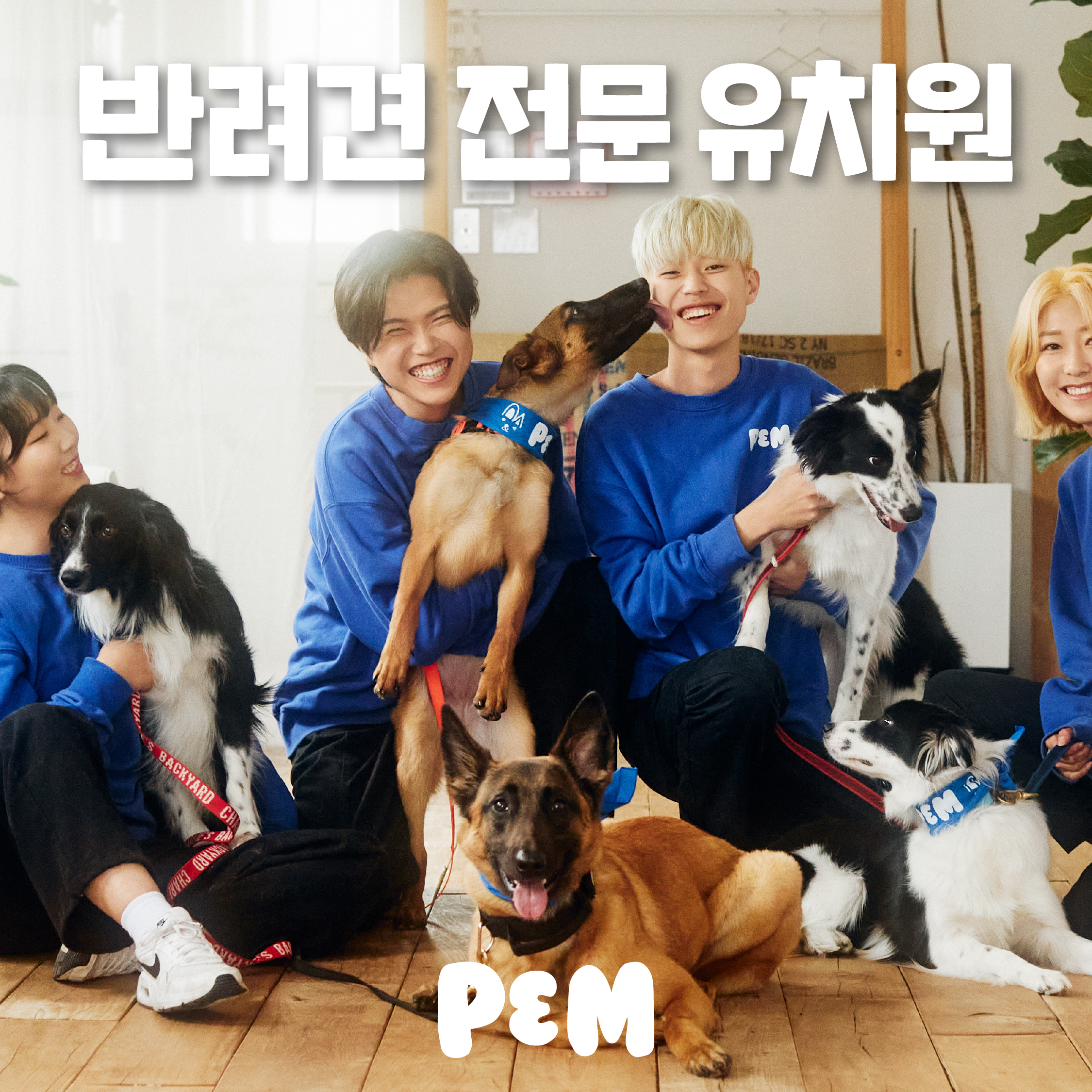 P&M반려견전문유치원 애견유치원 광주본점
