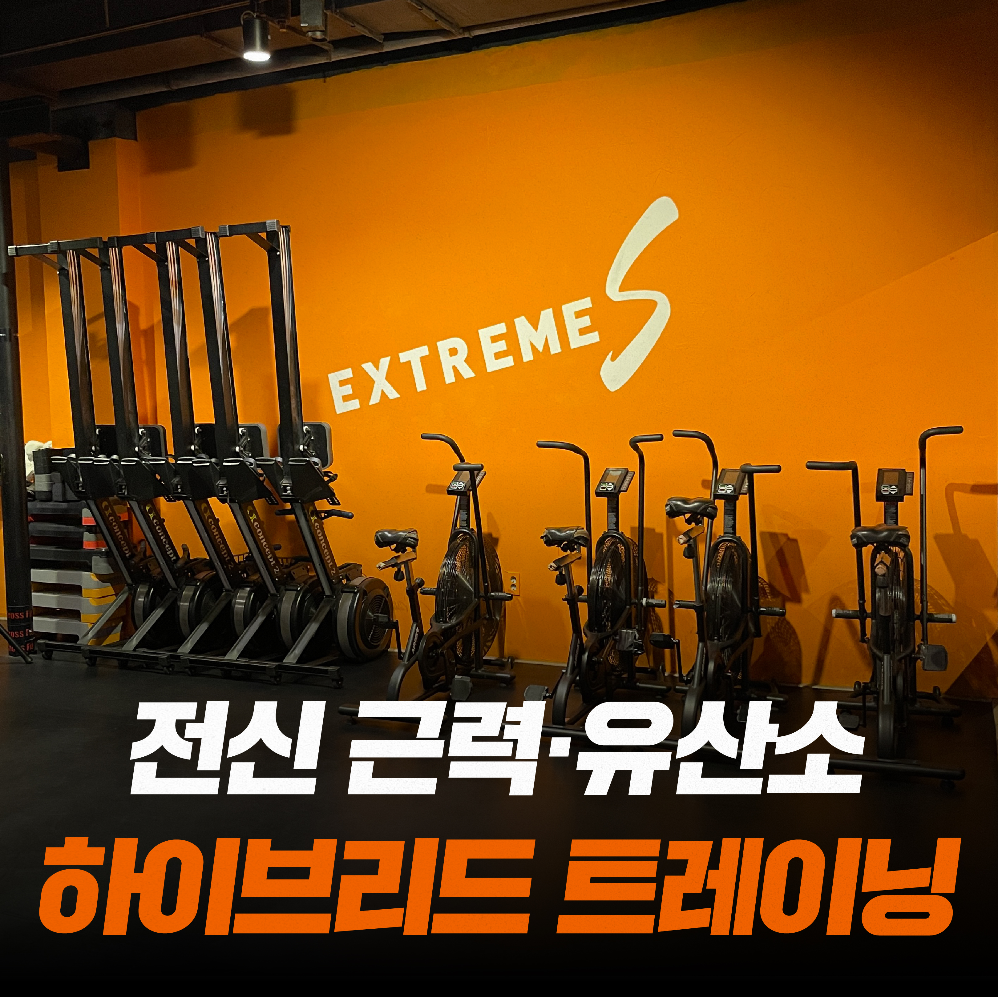 서울 마포구 월드컵북로 복싱체육관 익스트림에스 내부 모습 3