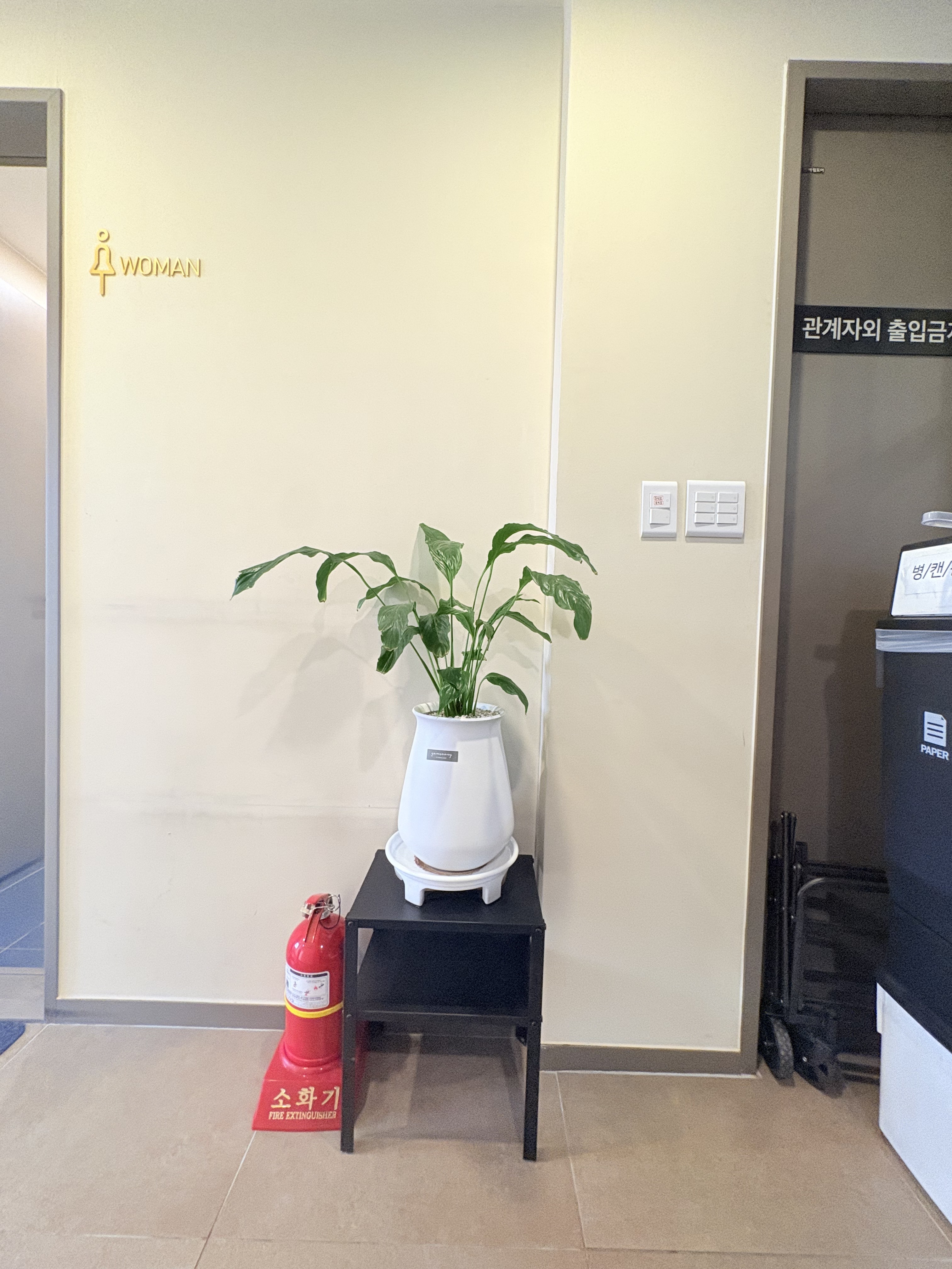 업체사진