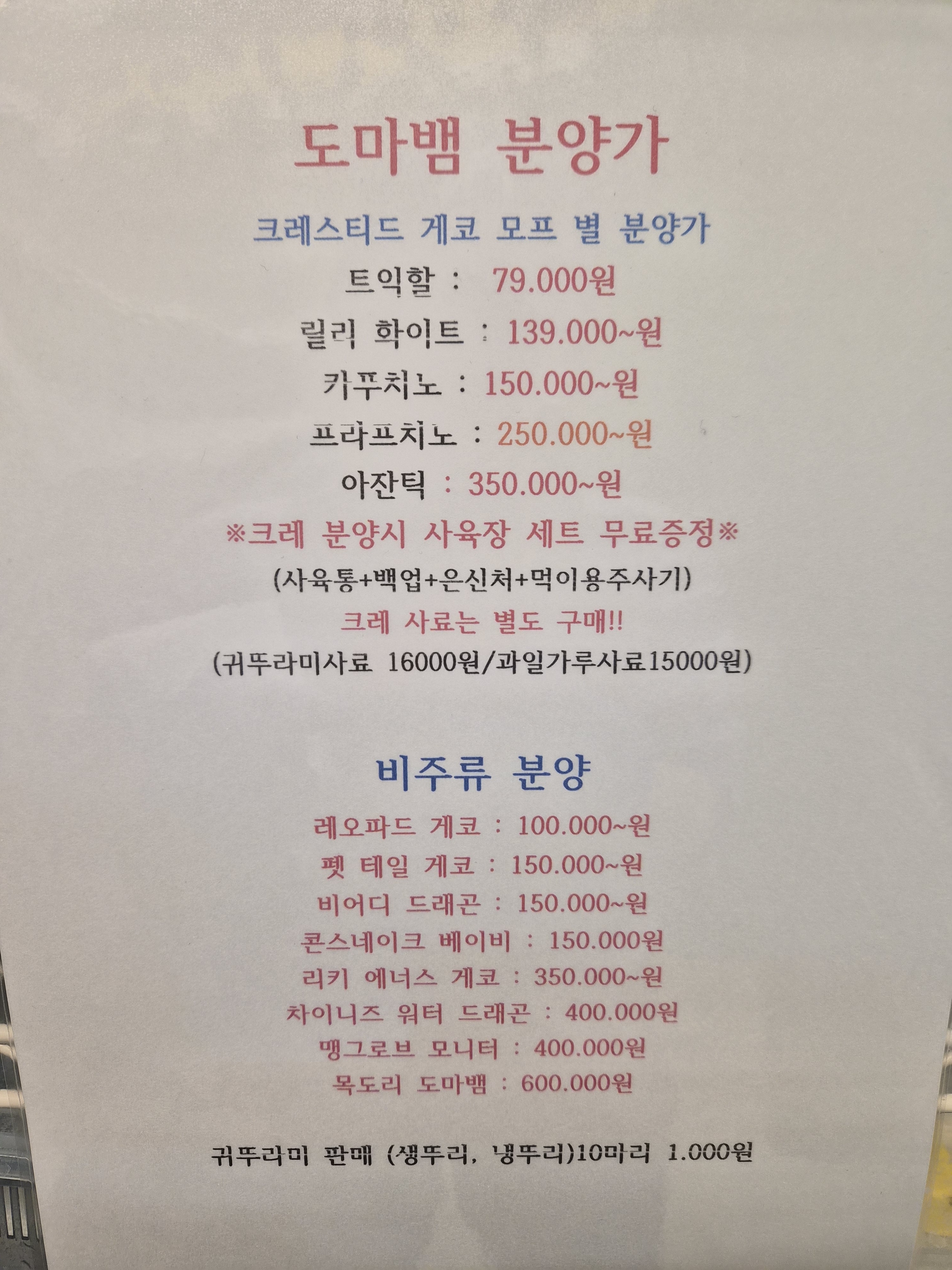 파파테일 4