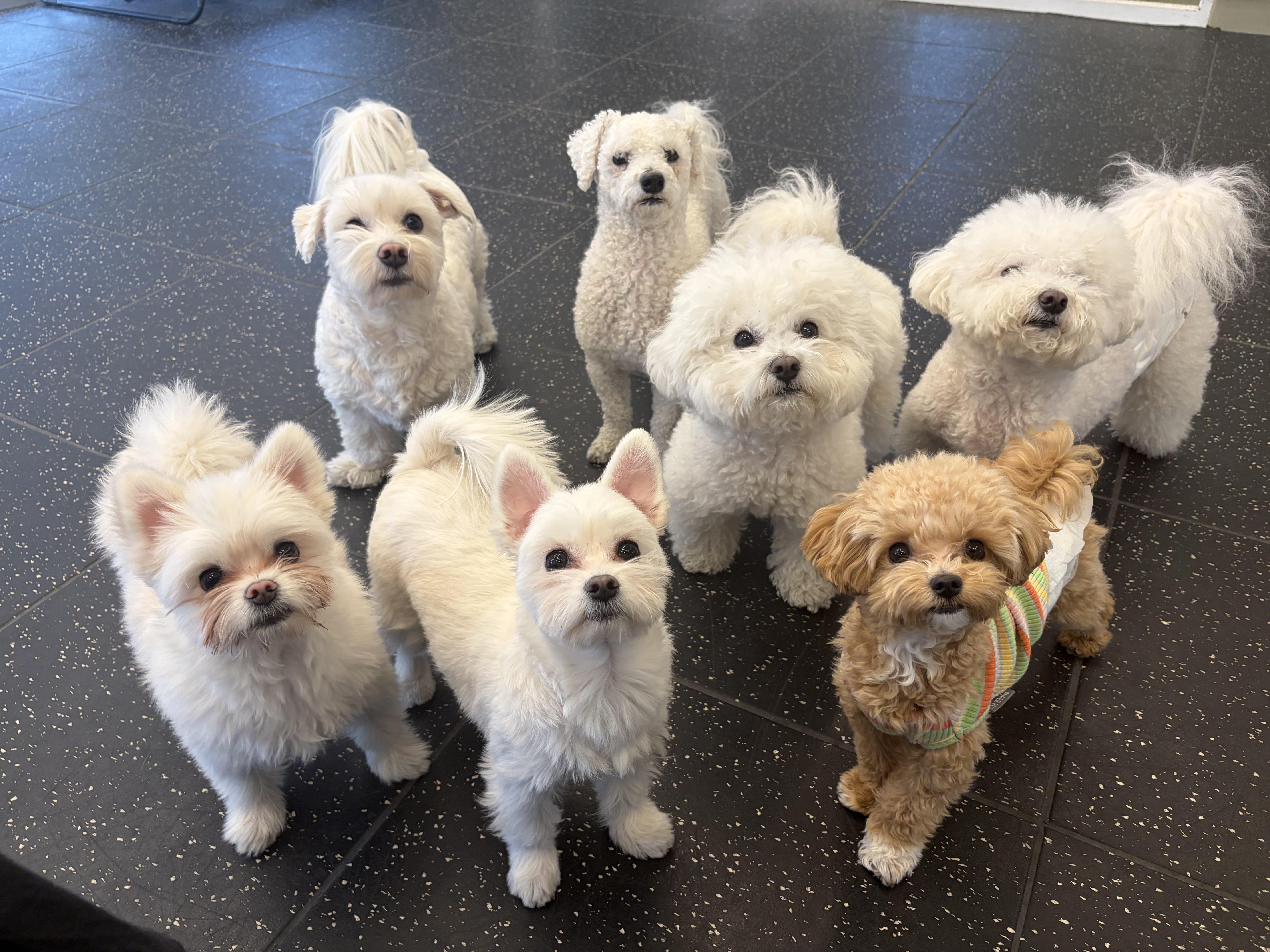 멍파 대표 이미지