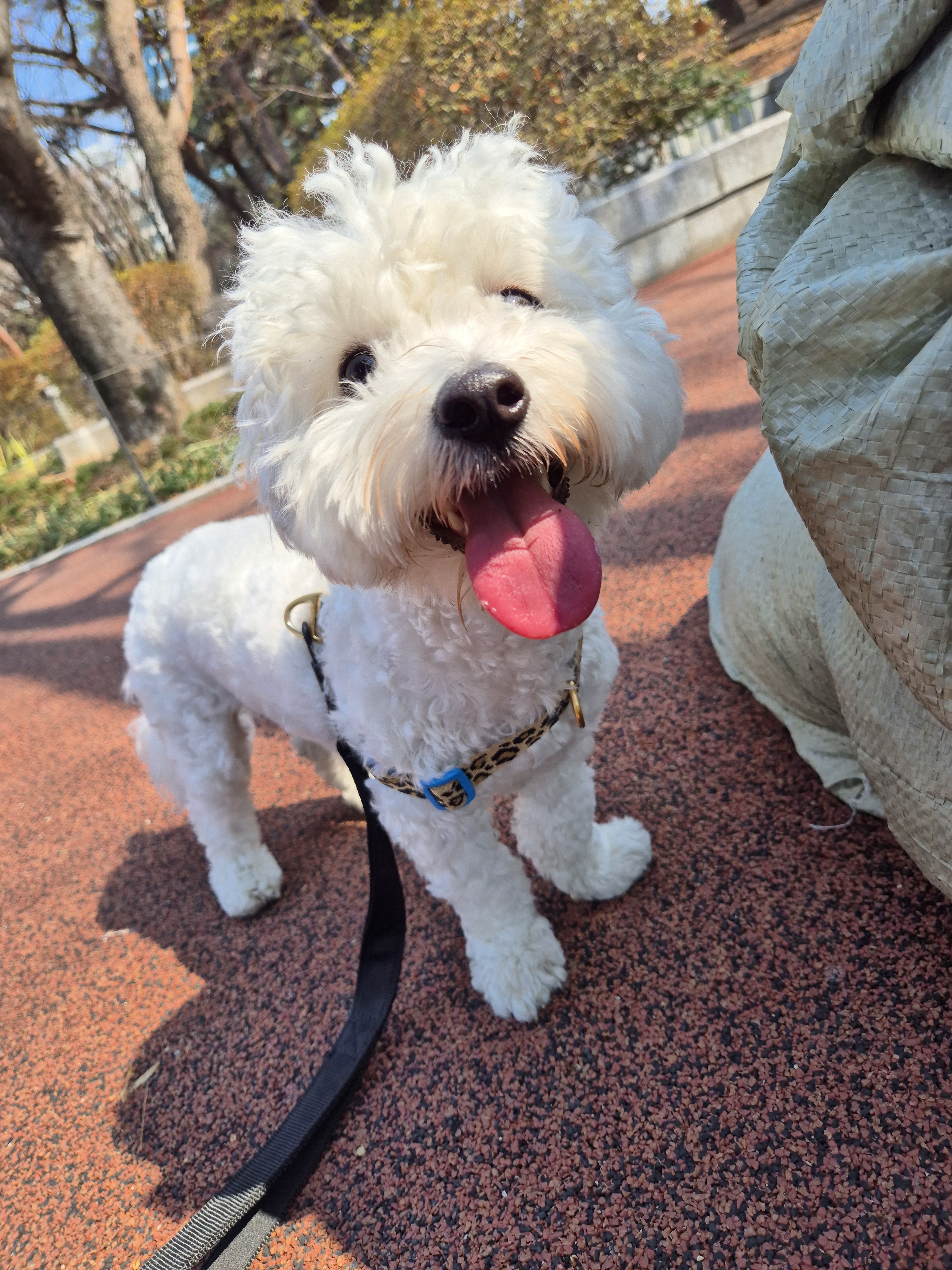 멍플래닛 대표 이미지