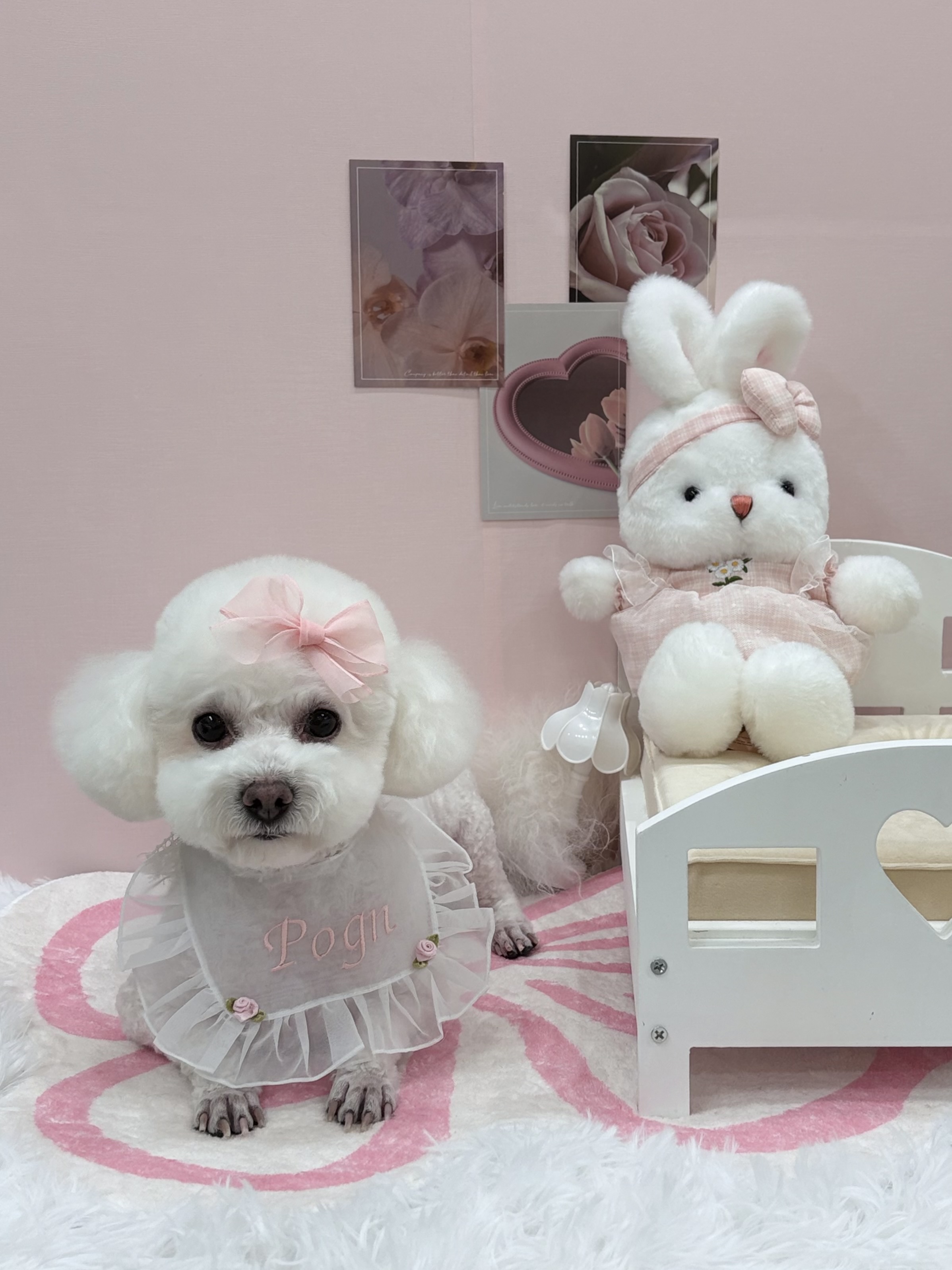 더, 포근 대표 이미지