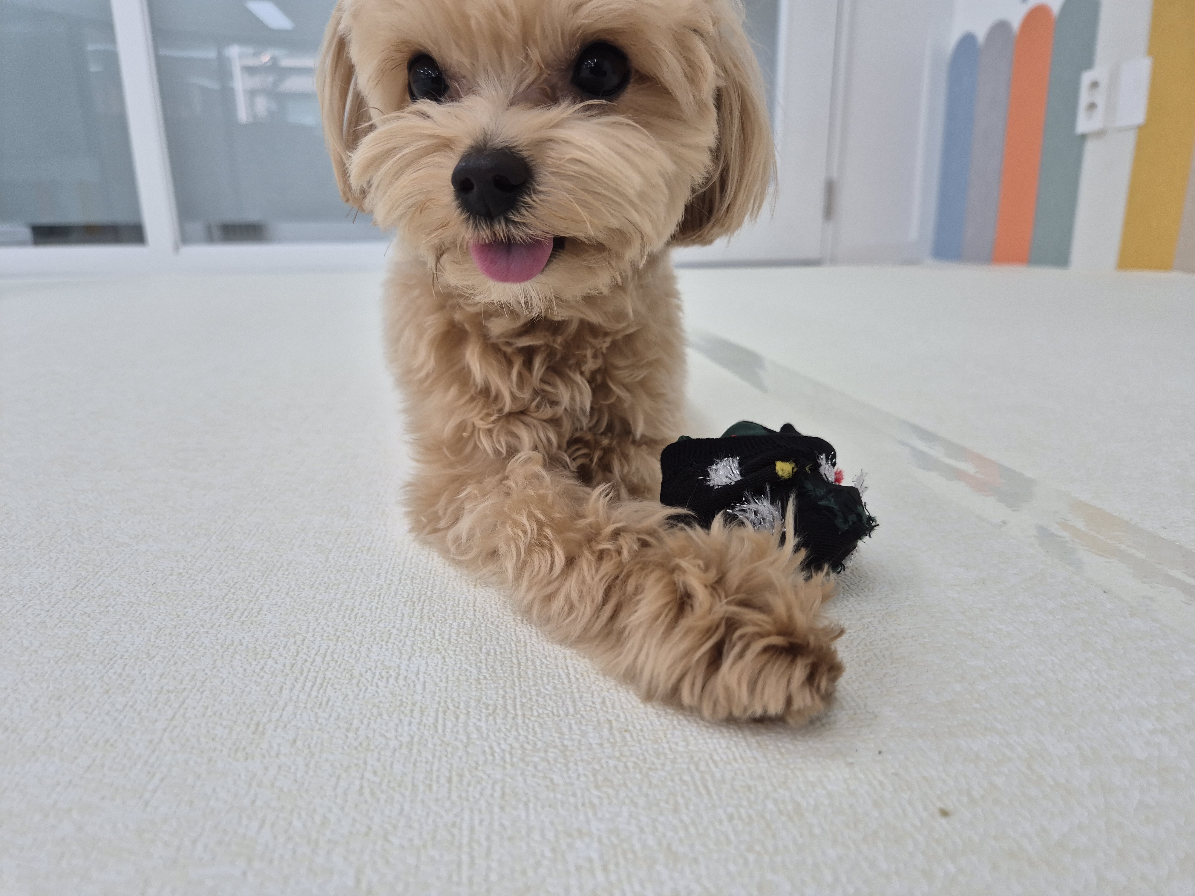 멍플래닛 대표 이미지