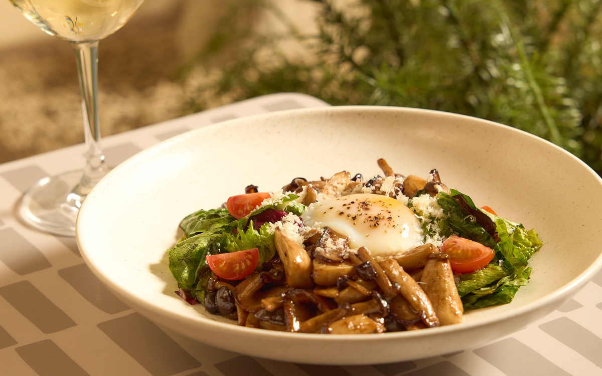 닥터로빈 강서점