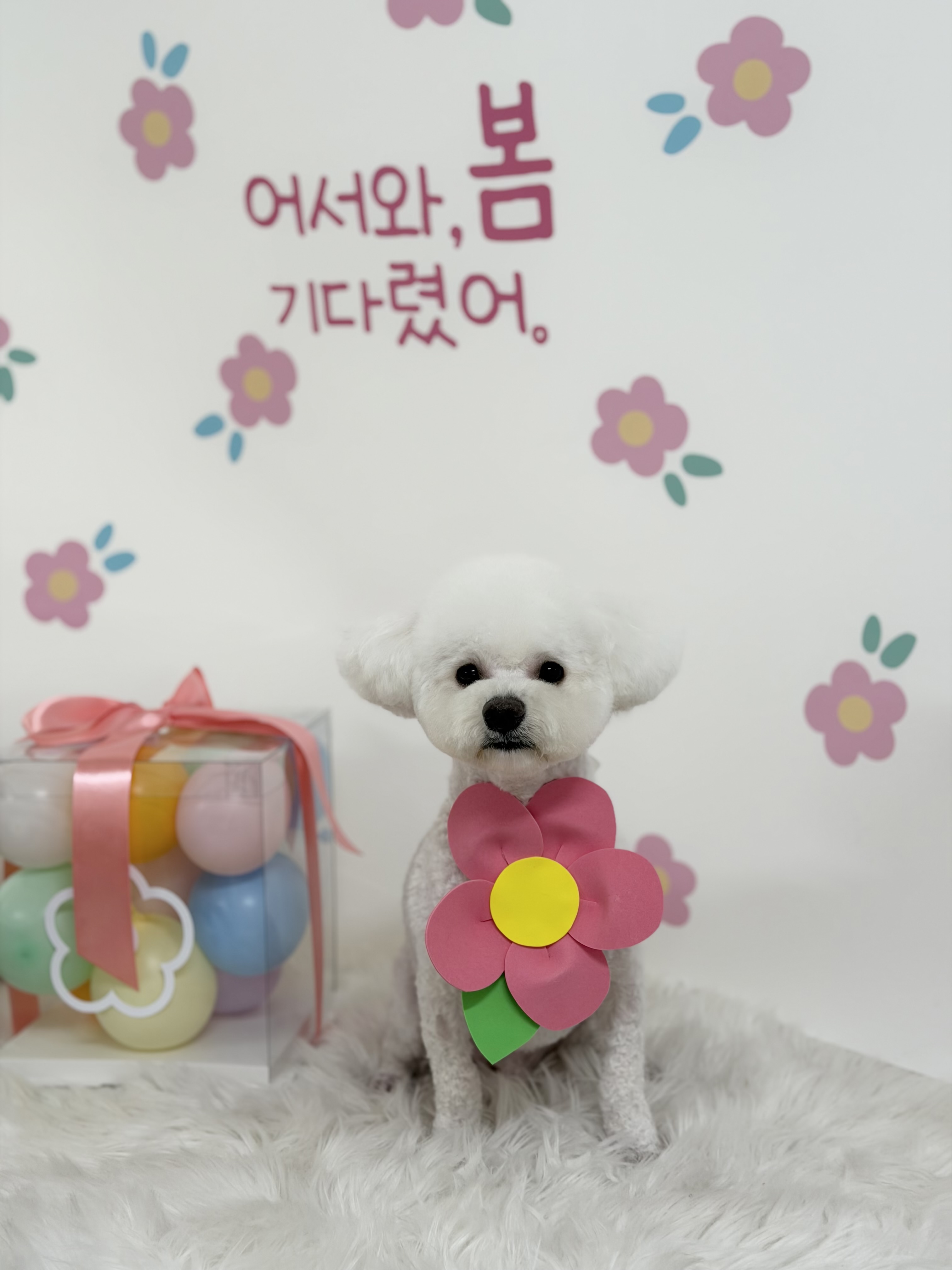 멍멍1길 23 대표 이미지