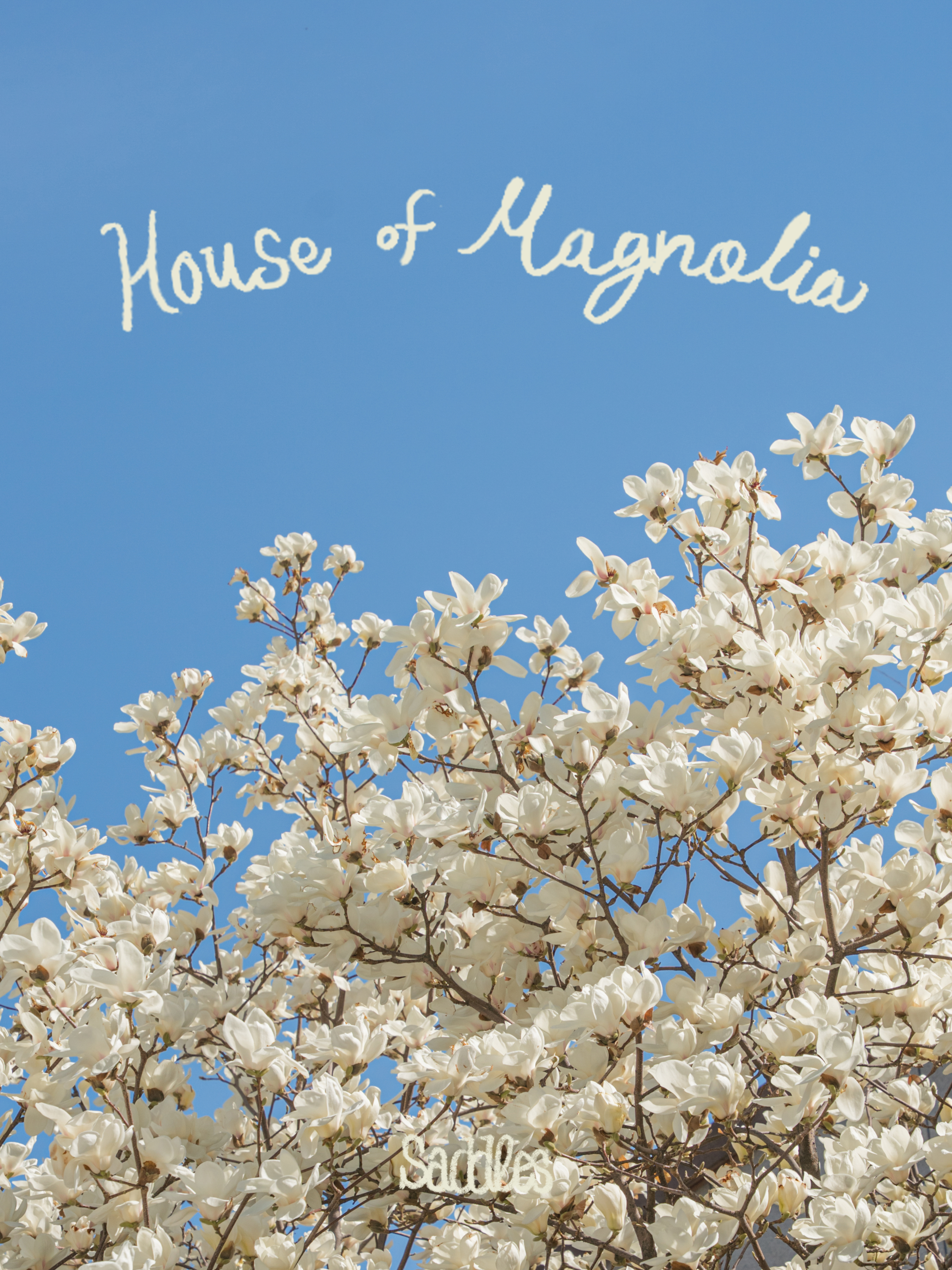 새들스커피앤바