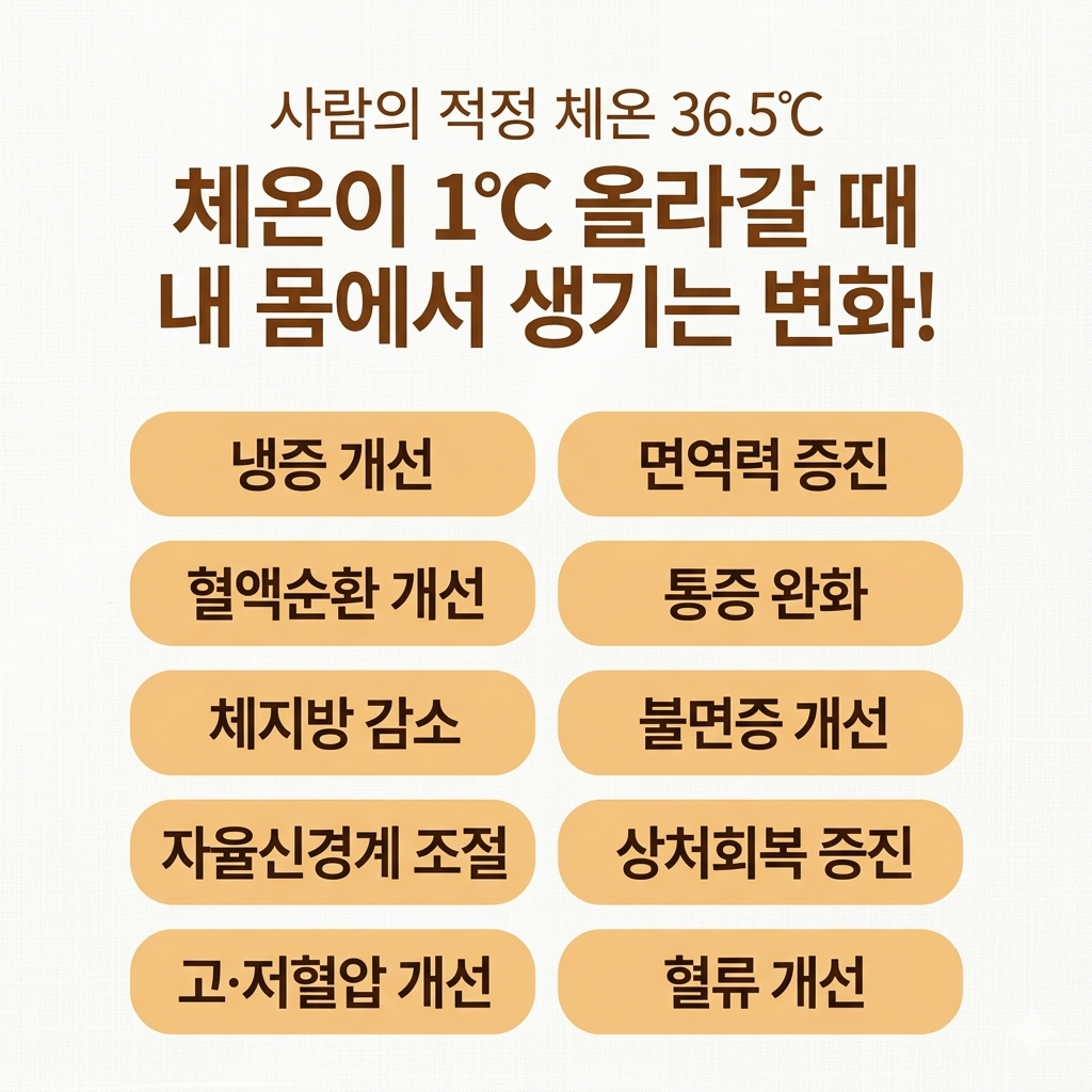 아실리아 대표 이미지