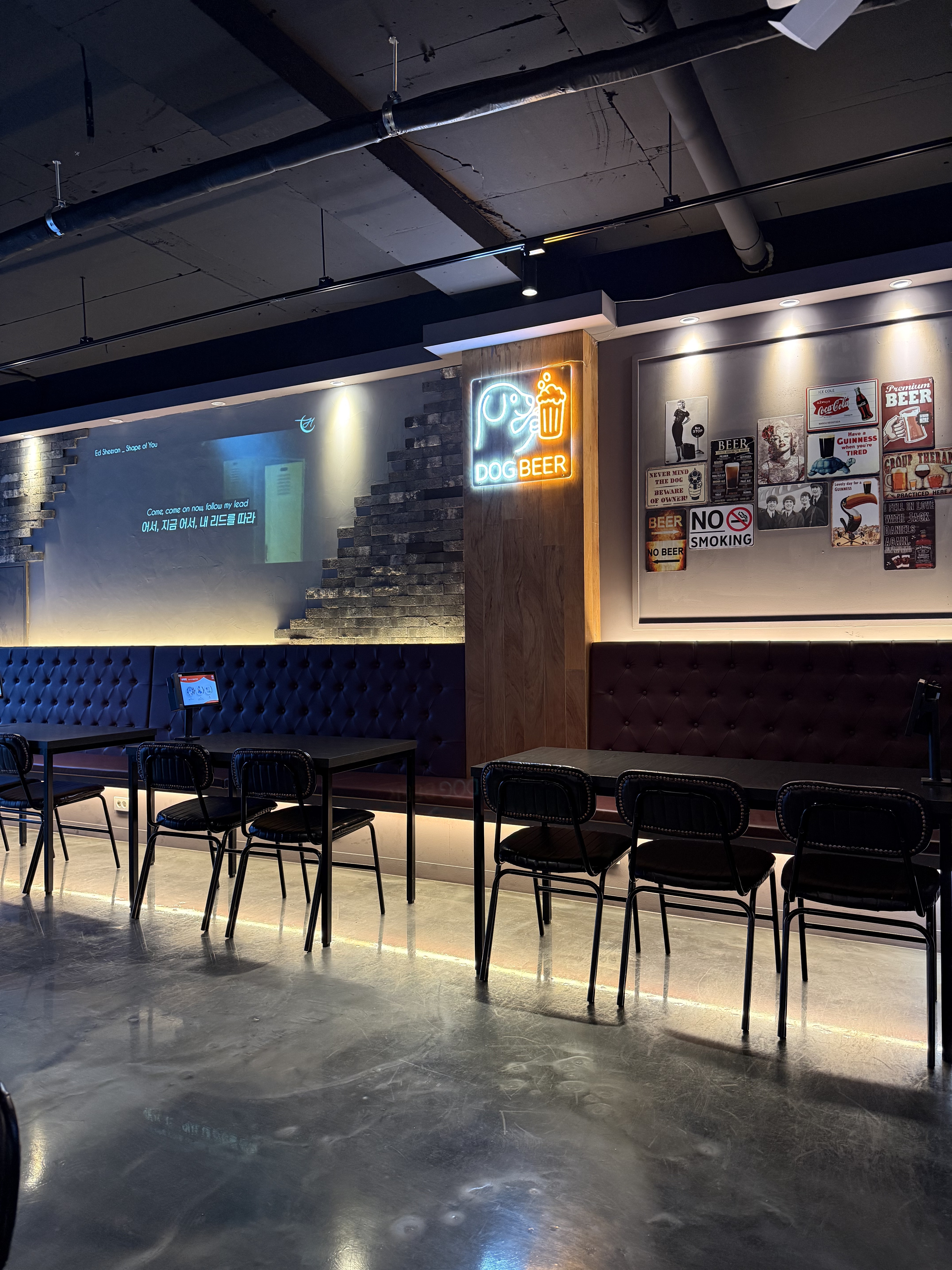 도그비어 대표 이미지