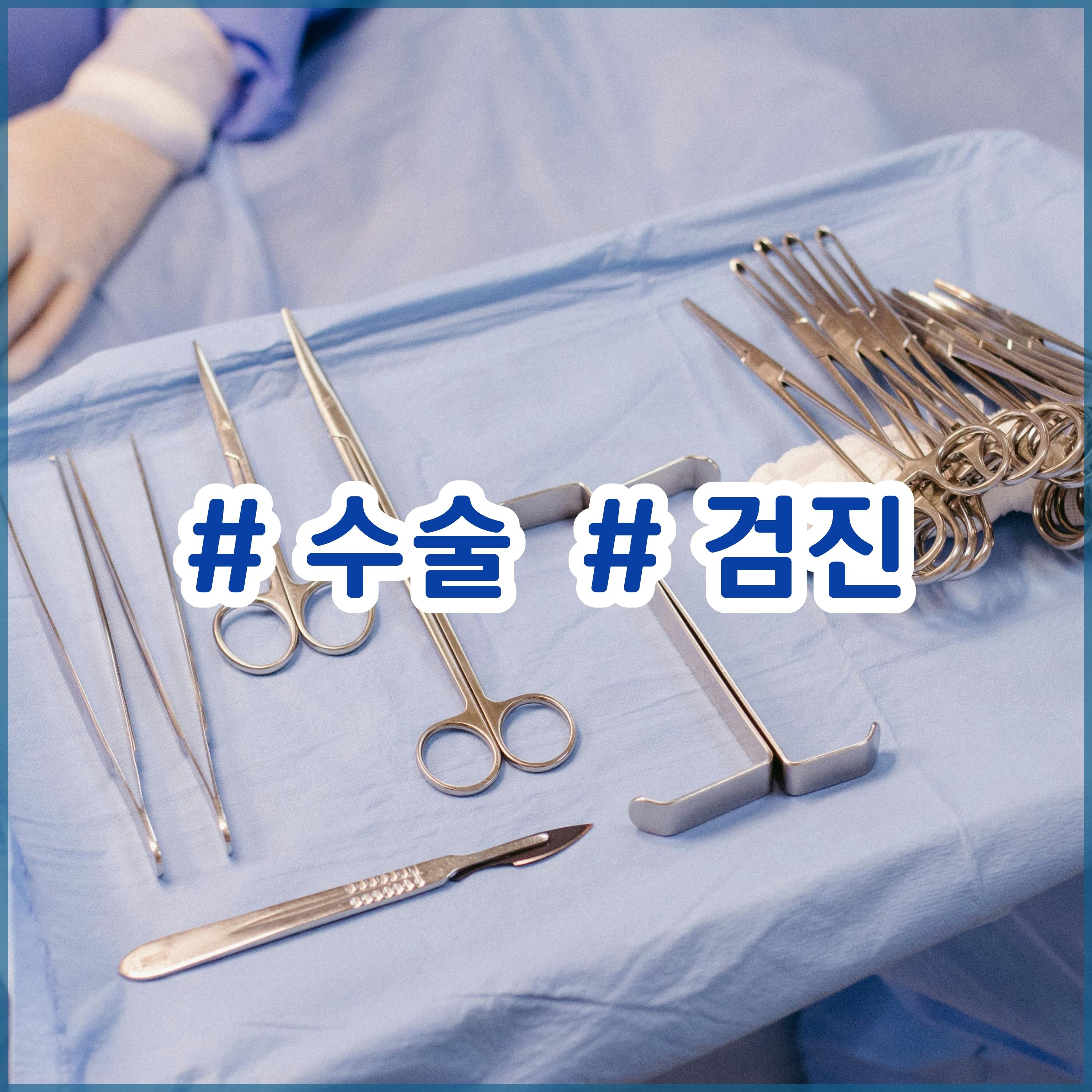 지인동물병원 대표 이미지