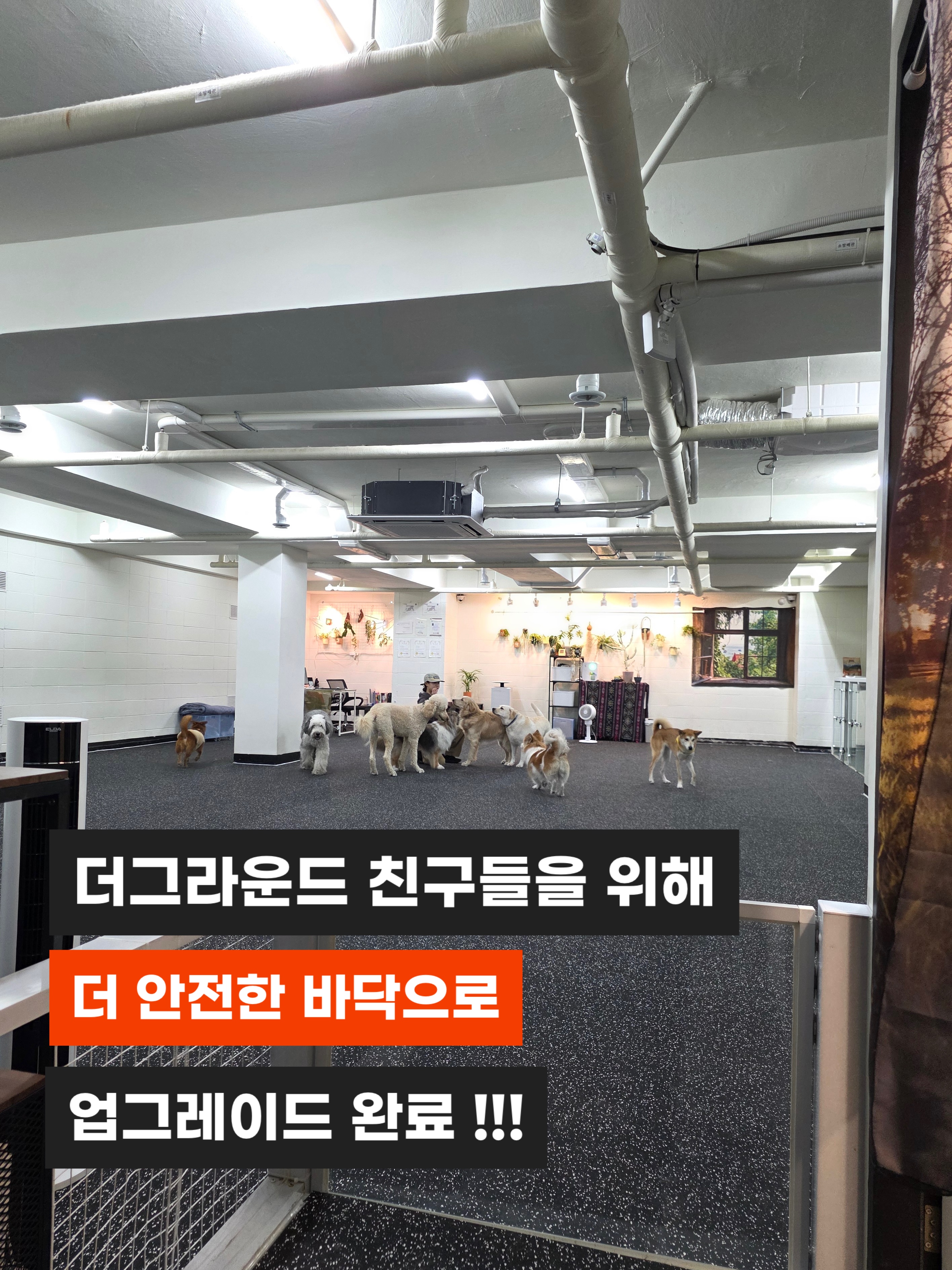 더그라운드 대표 이미지