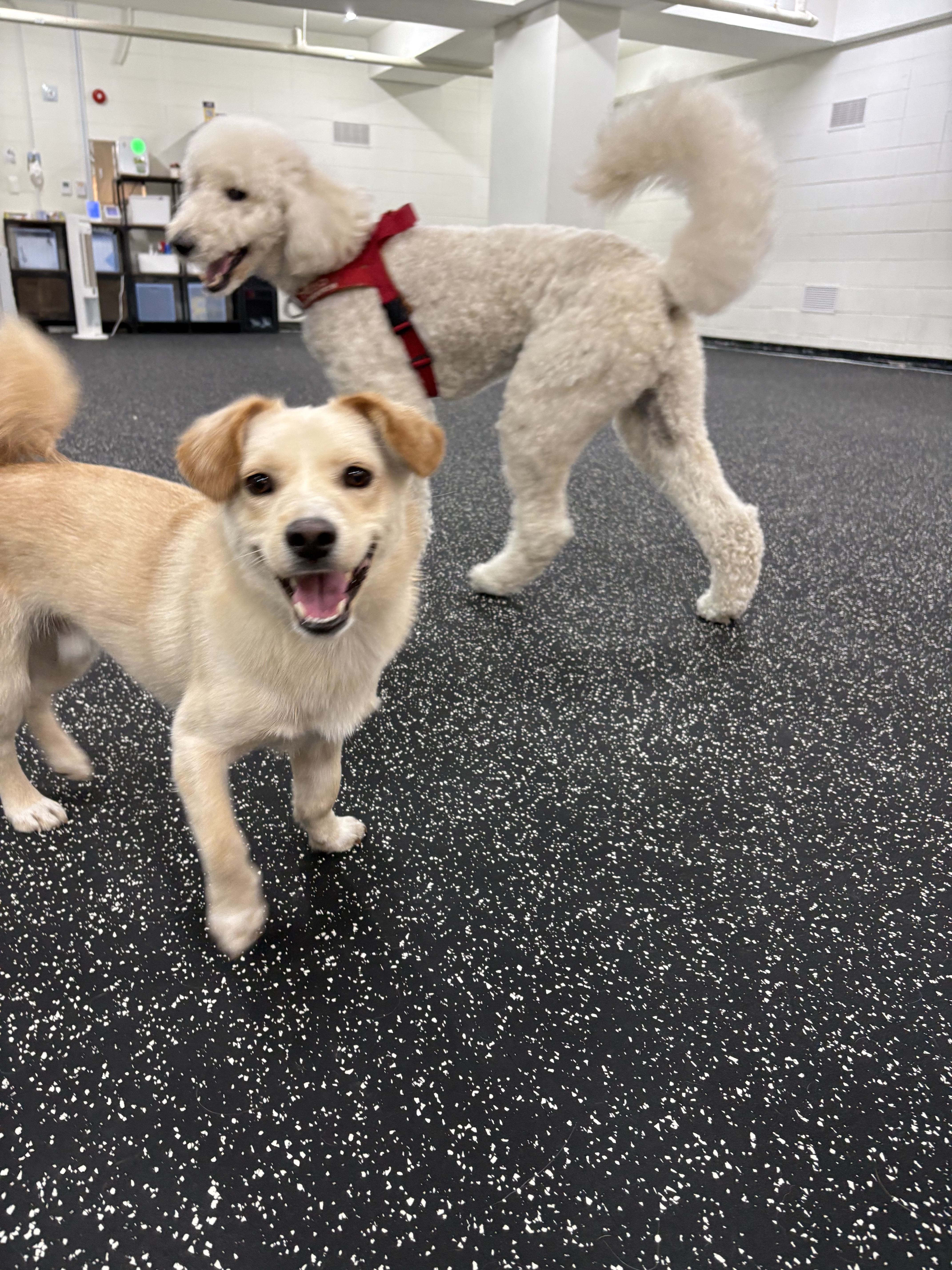 더그라운드 대표 이미지