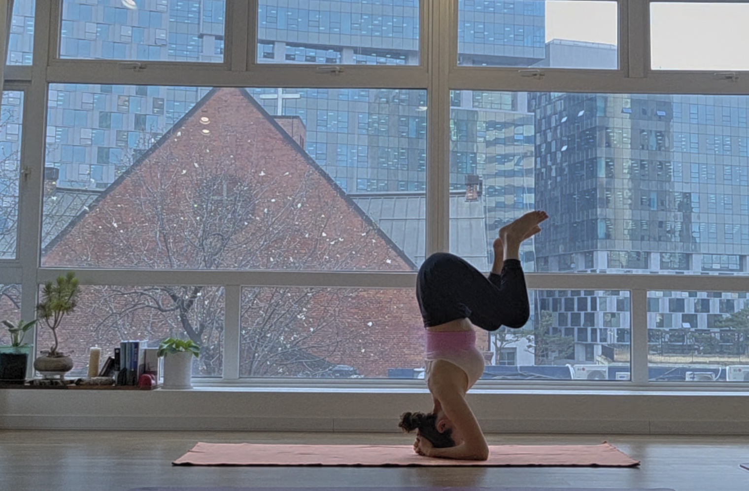 다오다요가 대표 이미지