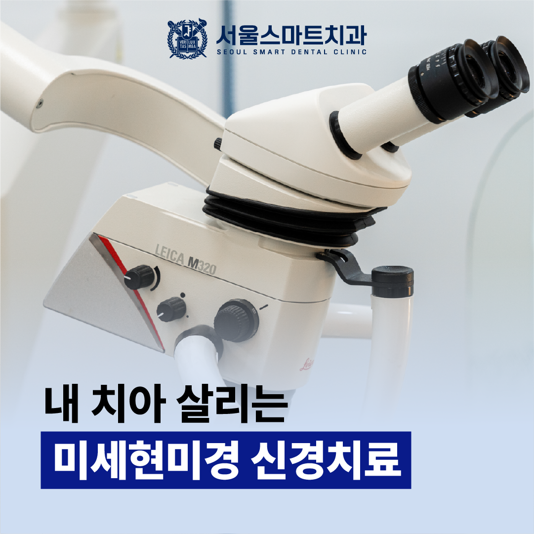 서울스마트치과 내부