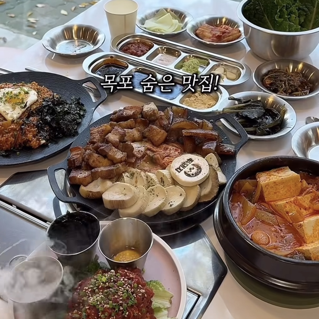 푸돼지 반려동물 동반 애견카페