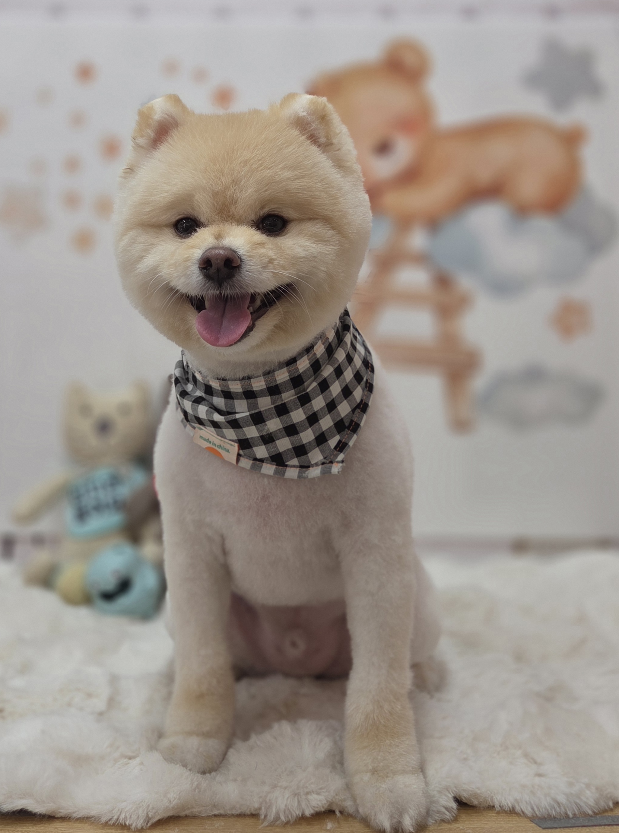 럽독 대표 이미지