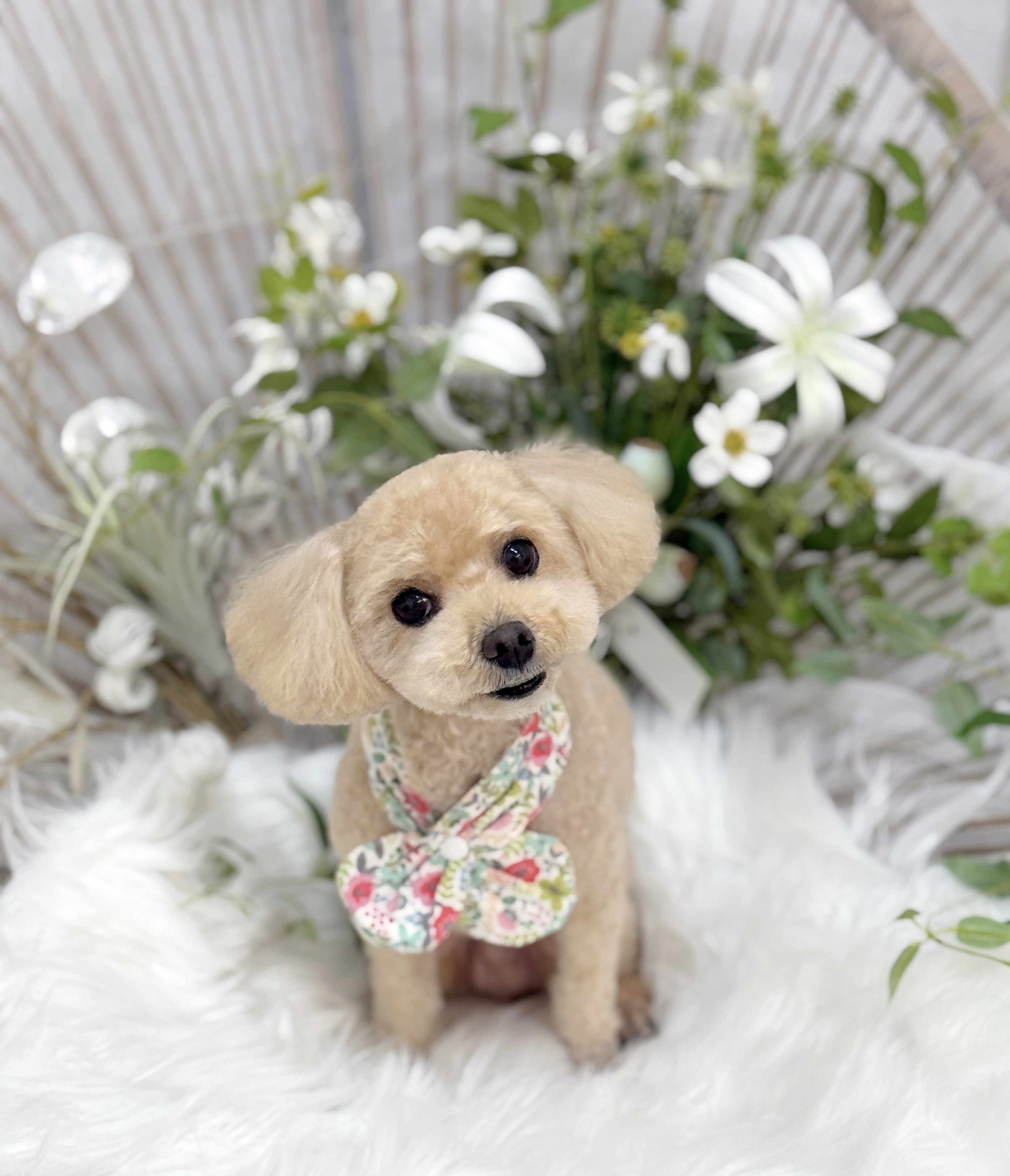 트리밍107 대표 이미지