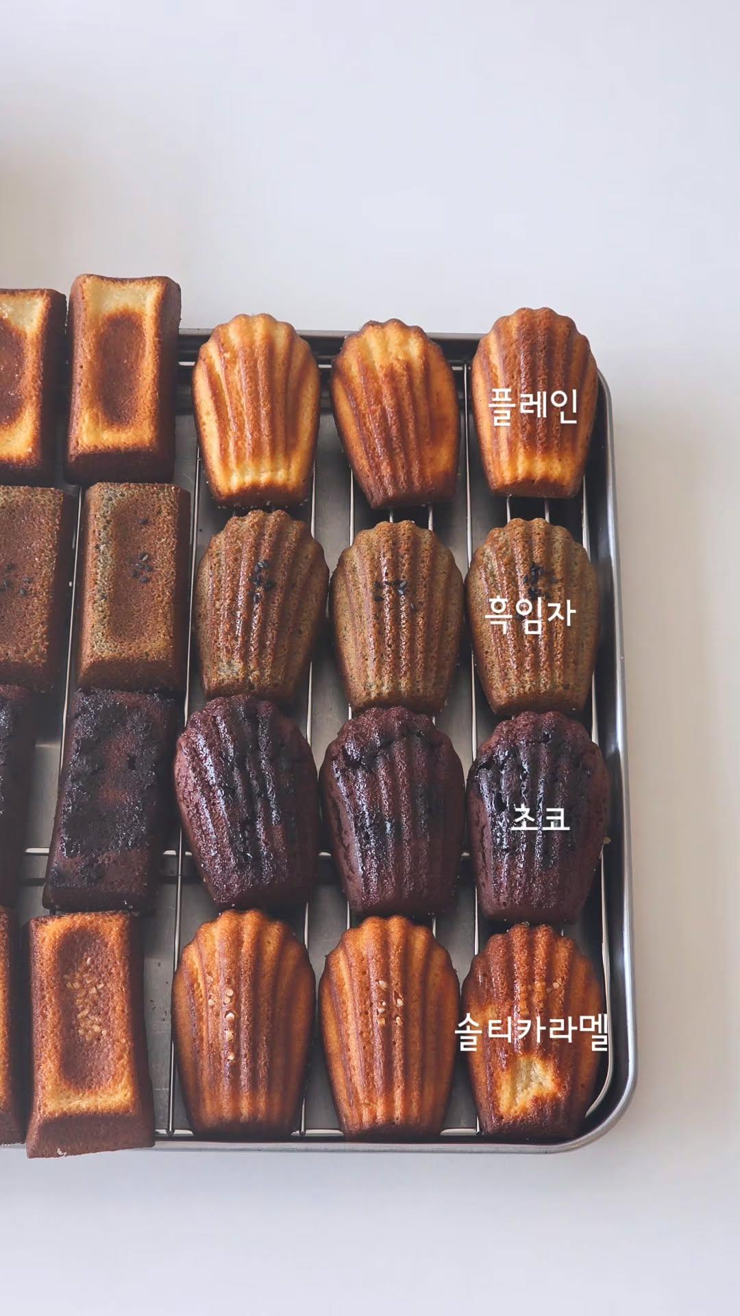 노마드 3