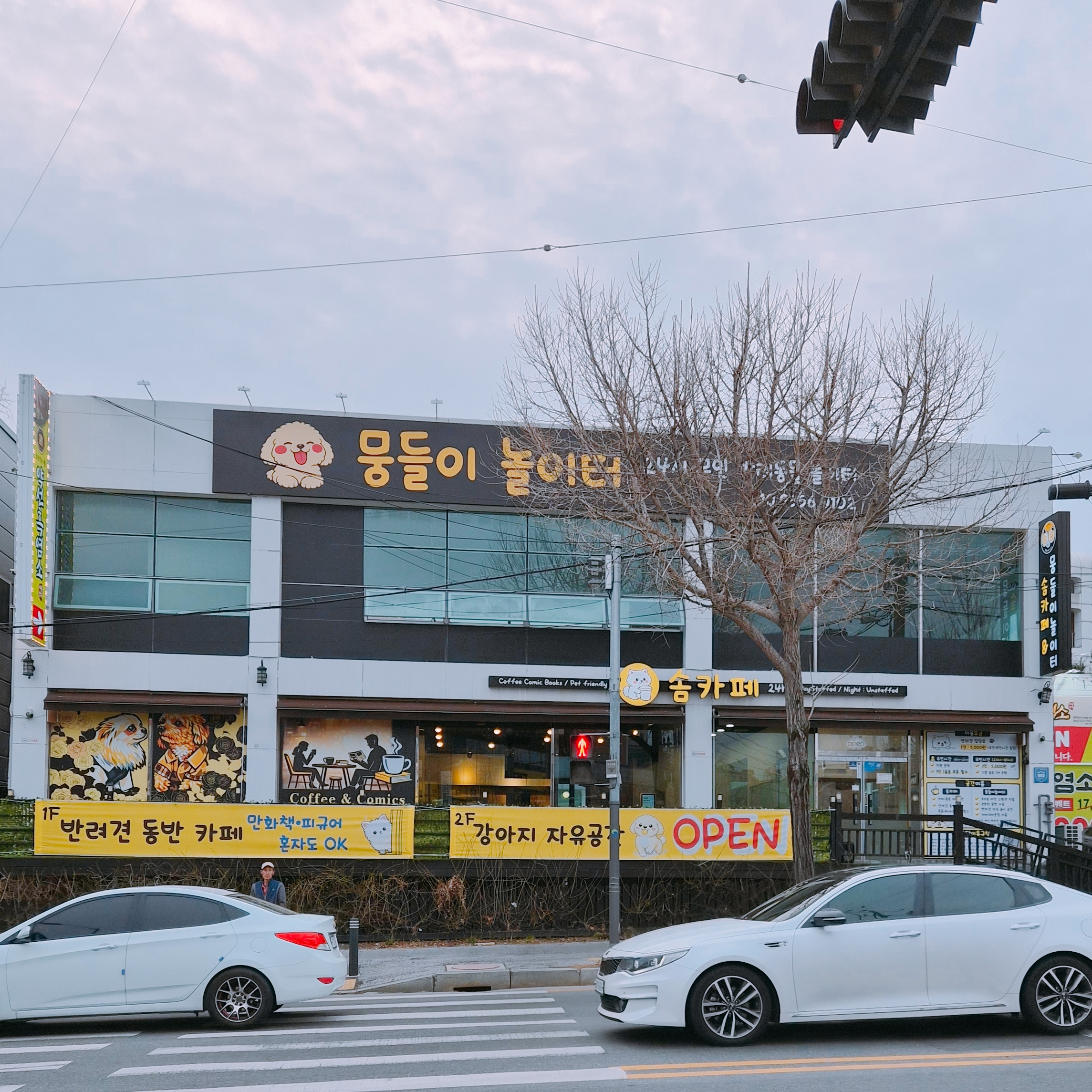 사진 4