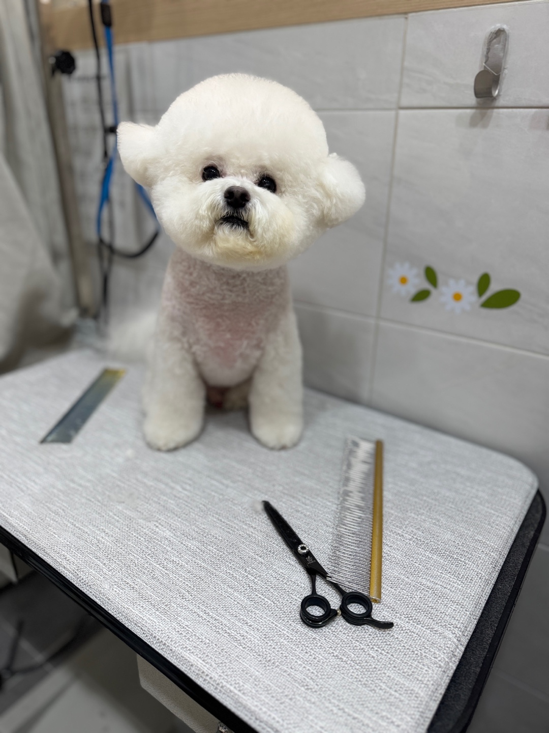 이플 대표 이미지