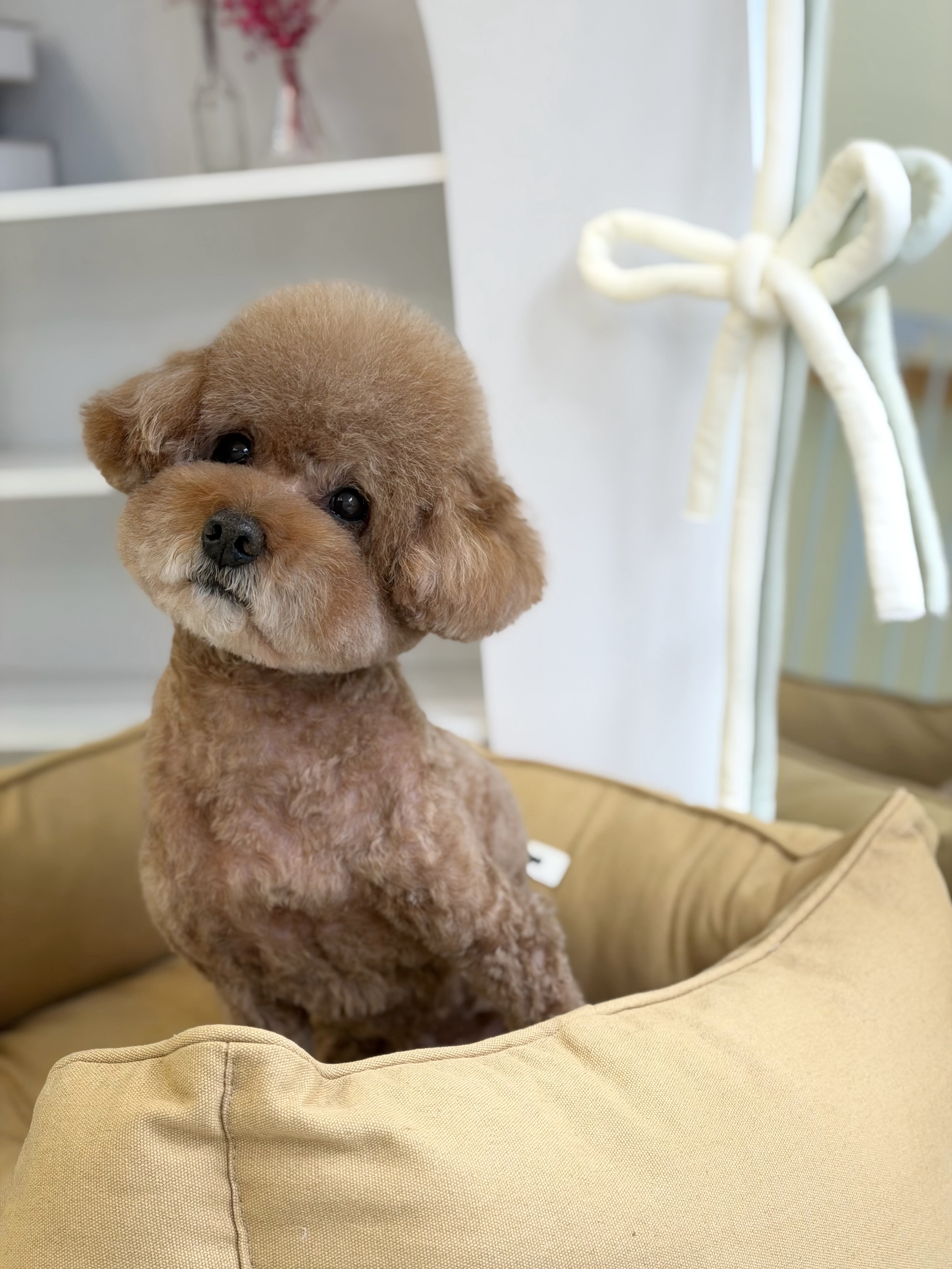 댕그르 대표 이미지