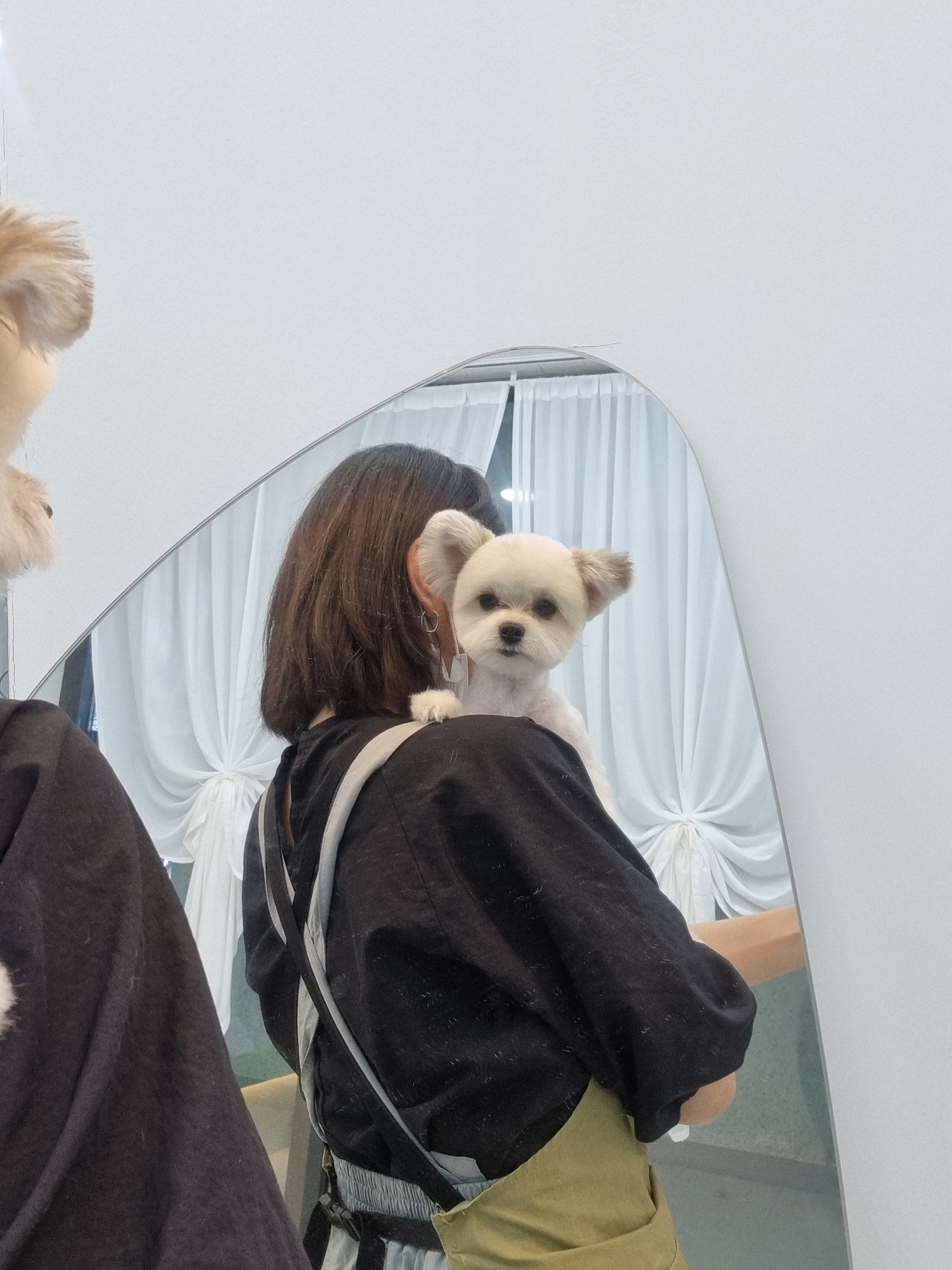 덕개 대표 이미지