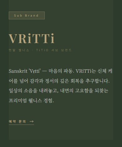 브리티 vritti