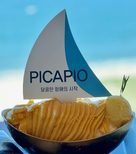 리본