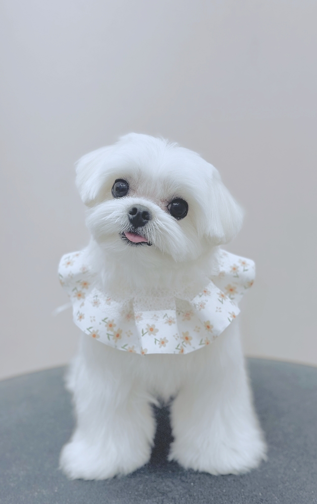 스튜디오이브 대표 이미지