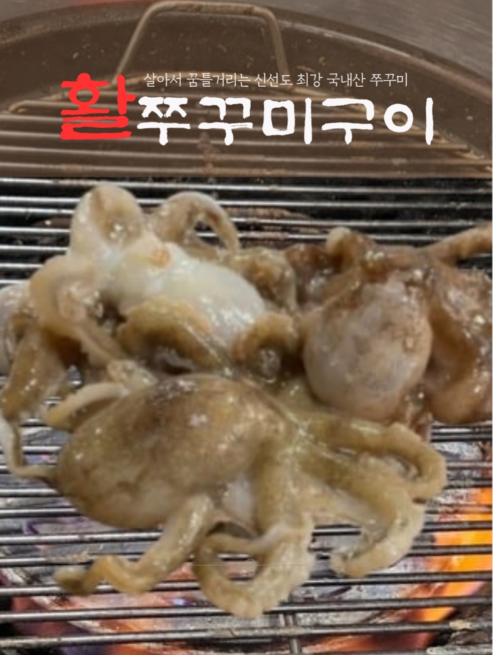 조개까는자리 전라 애견맛집