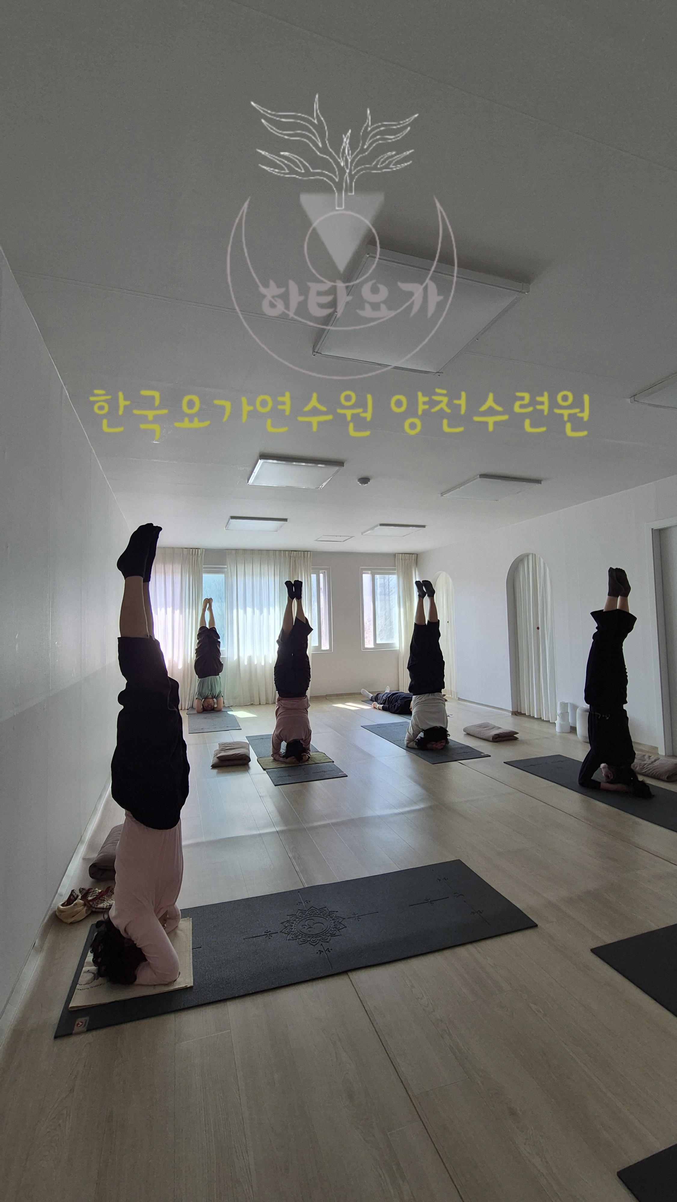 하타요가 양천수련원 대표 이미지
